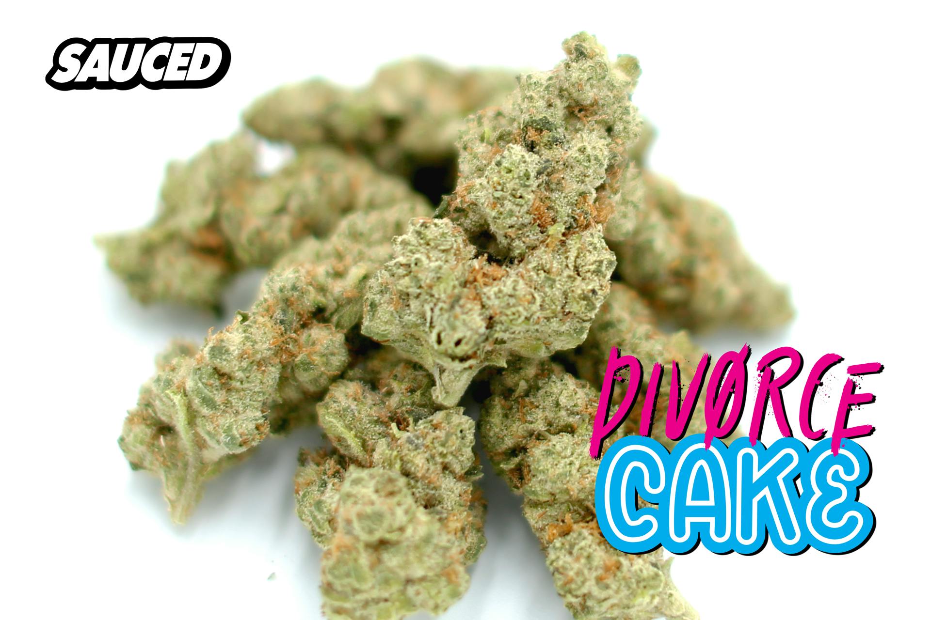 DIVORCE CAKE (HYBRID) PREMIUM INDOOR FLOWER - image 3