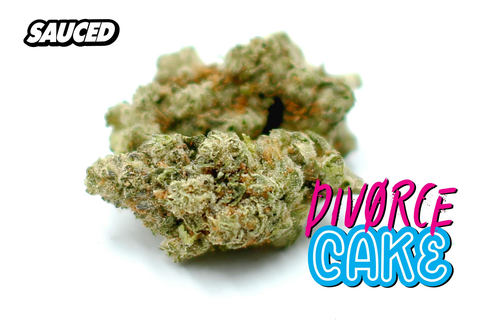 DIVORCE CAKE (HYBRID) PREMIUM INDOOR FLOWER - image 2