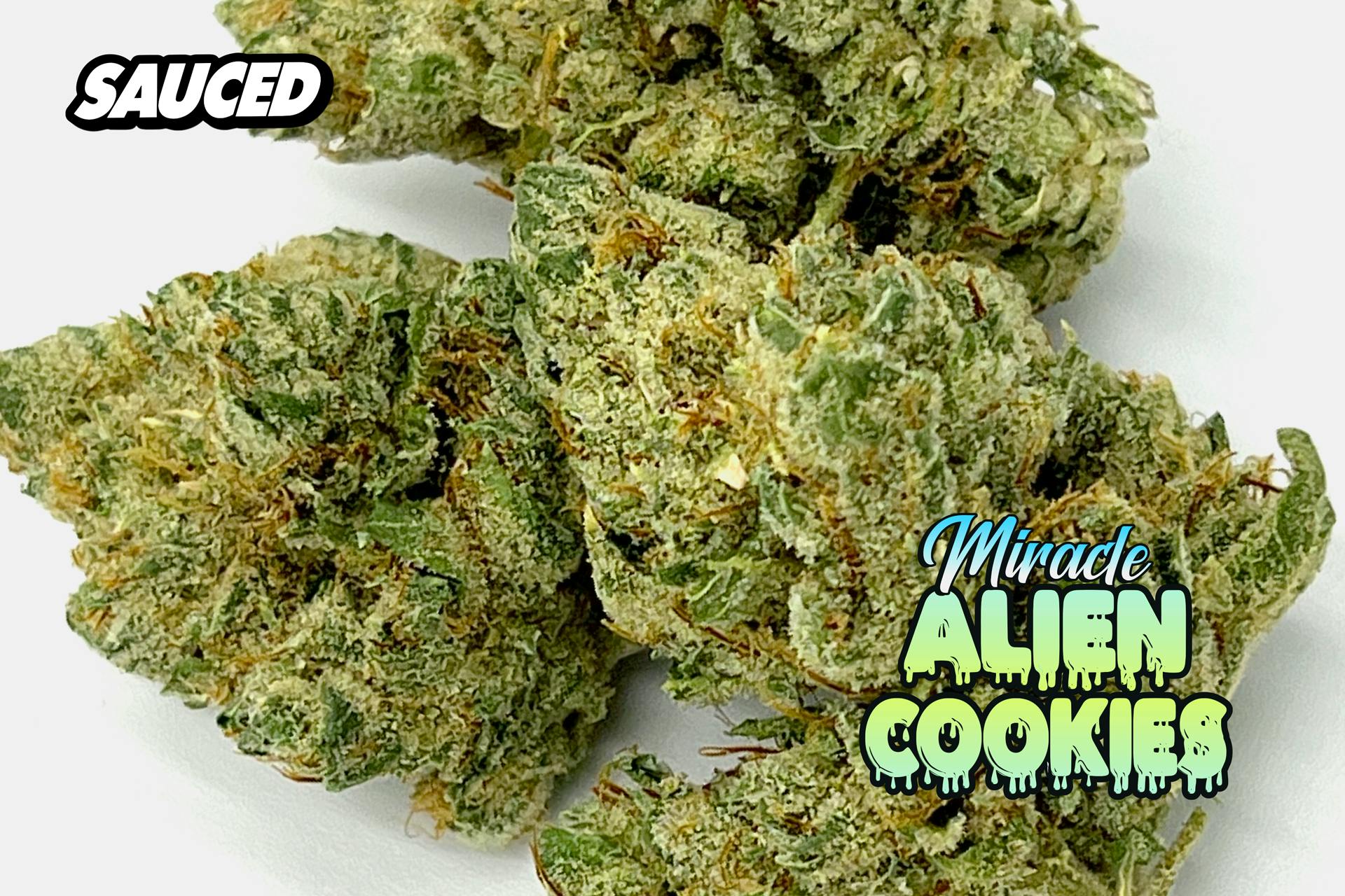 MIRACLE ALIEN COOKIES (HYBRID) PREMIUM INDOOR FLOWER - image 3