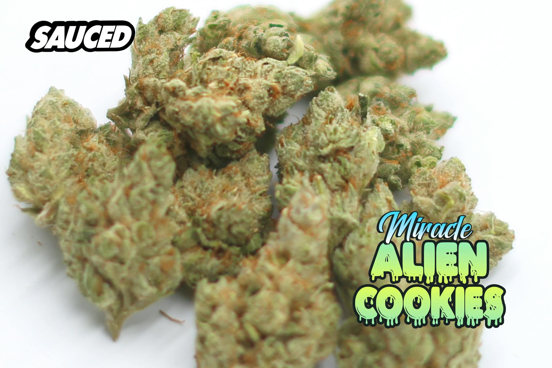 MIRACLE ALIEN COOKIES (HYBRID) PREMIUM INDOOR FLOWER - image 4