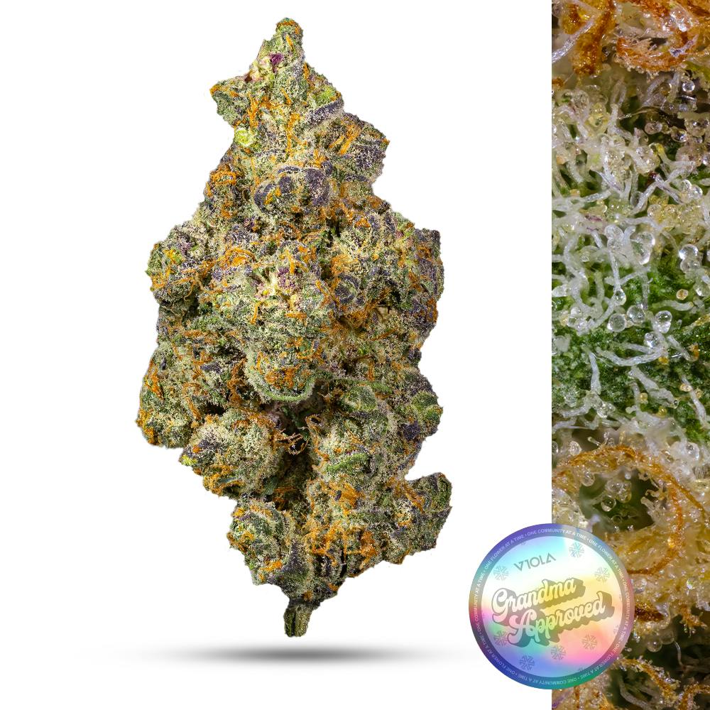 Apple Fritter - image 1
