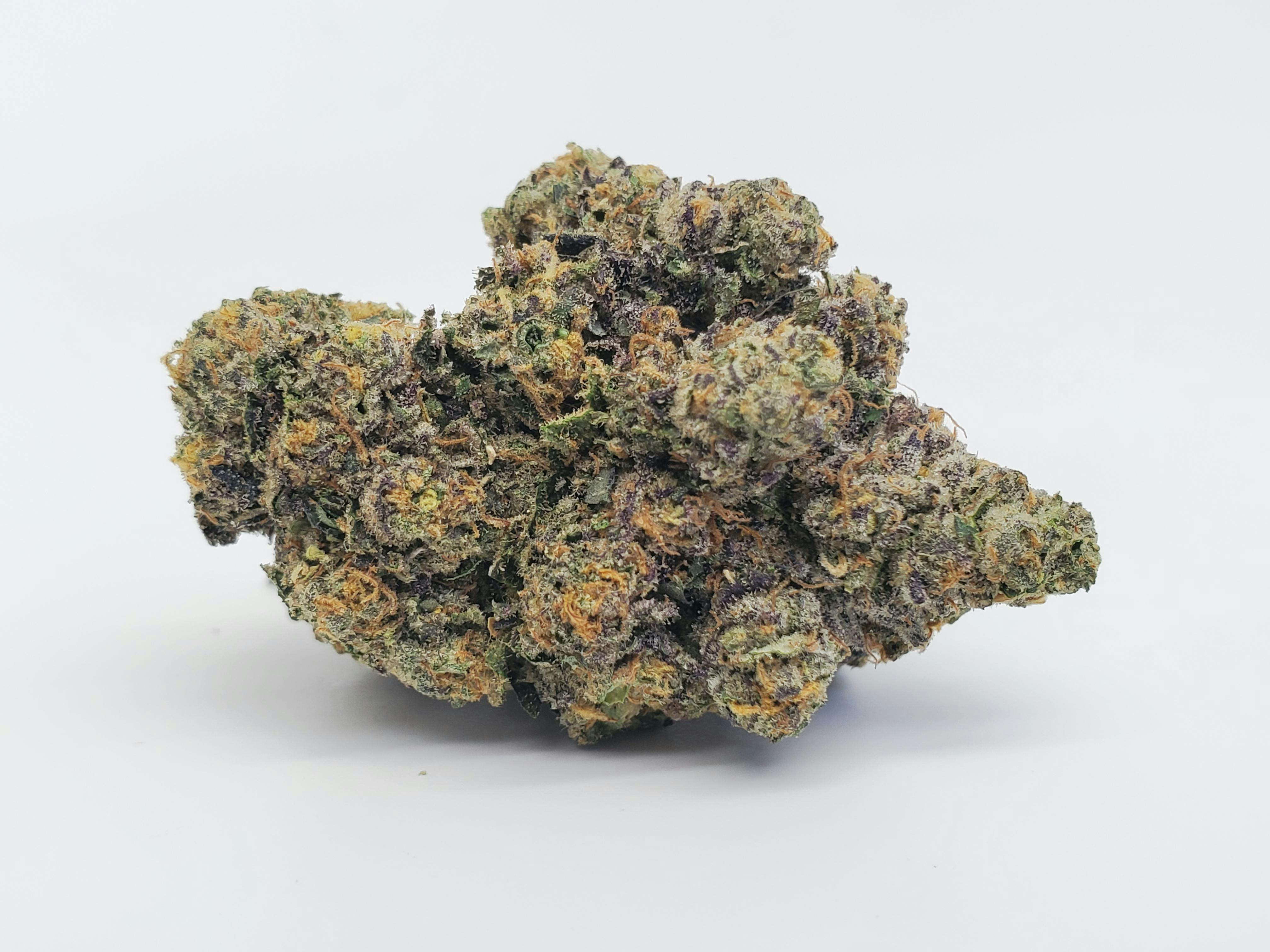 Biscotti x Sherbert x Jealousy - Littles 1/8th - image 1