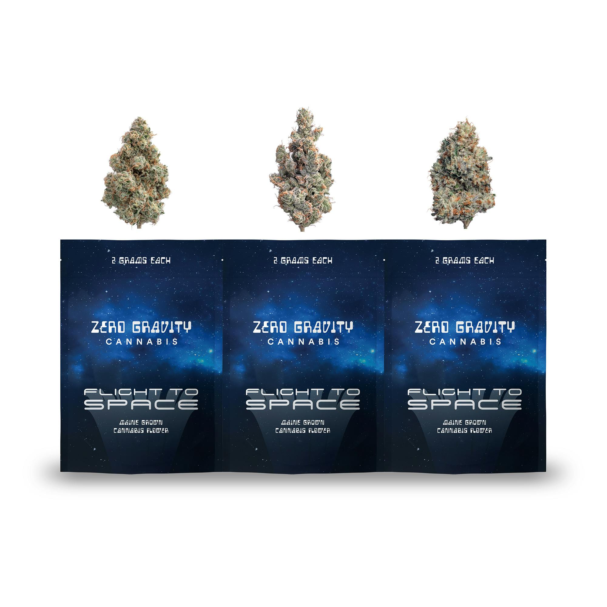 Flight Pack - image 1