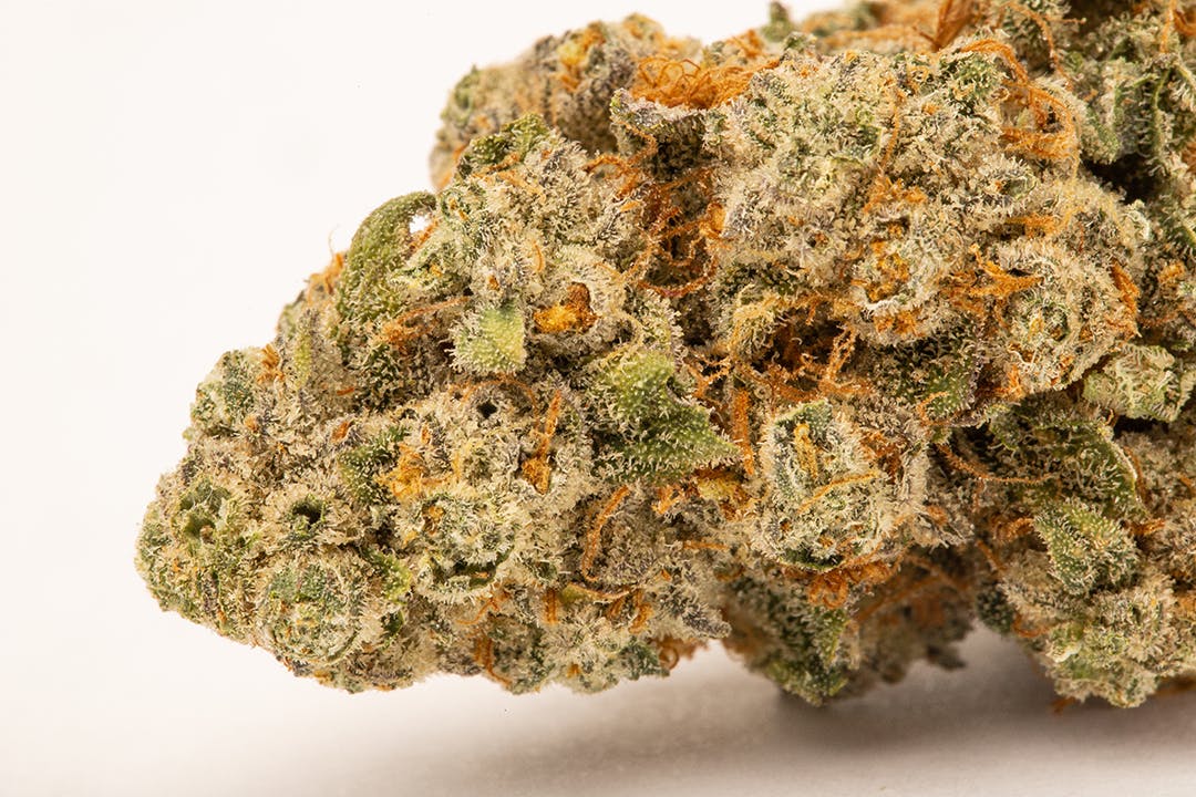 Mob Boss - image 2