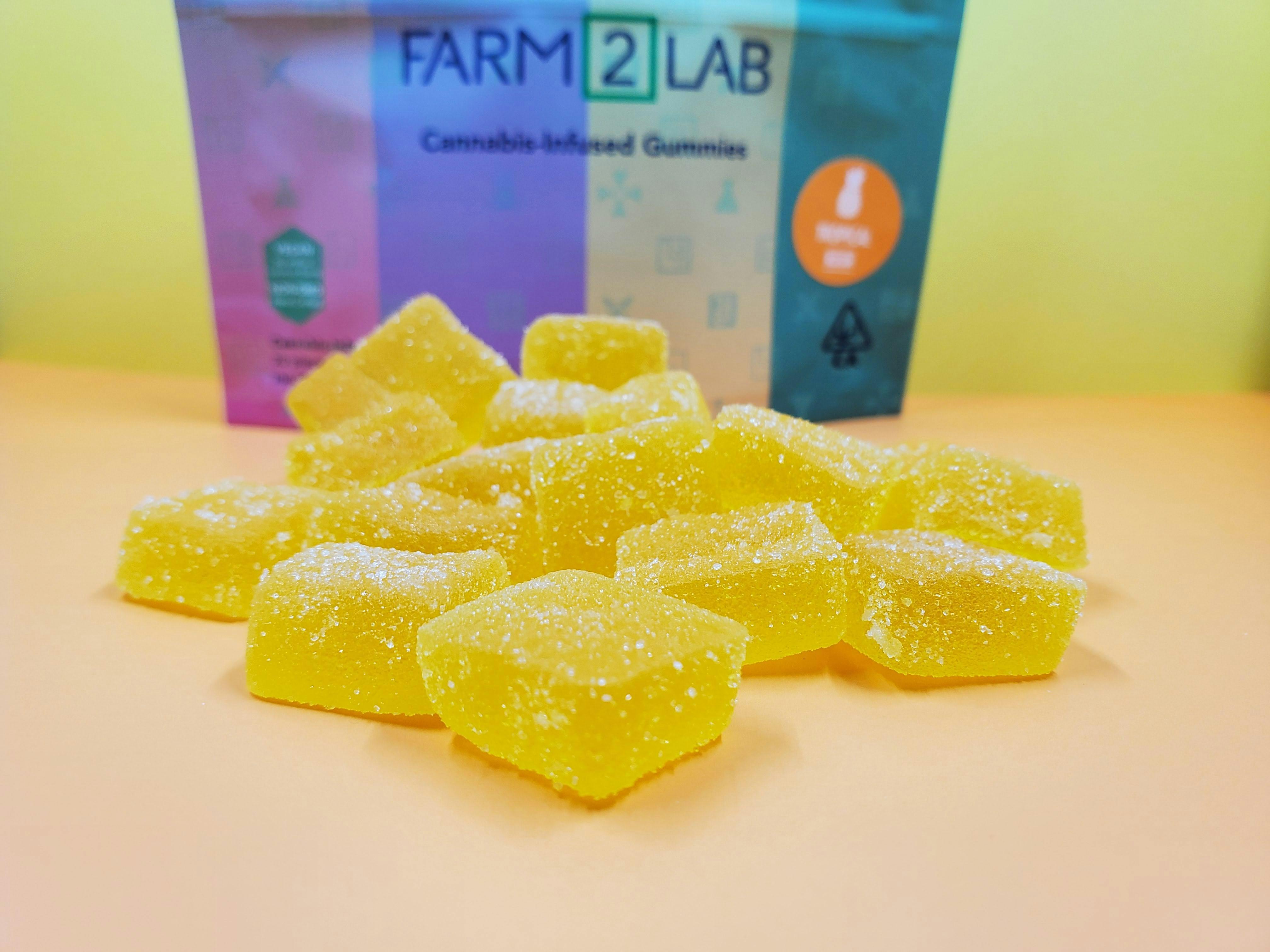 Tropical - 100mg Rosin Gummies - image 1