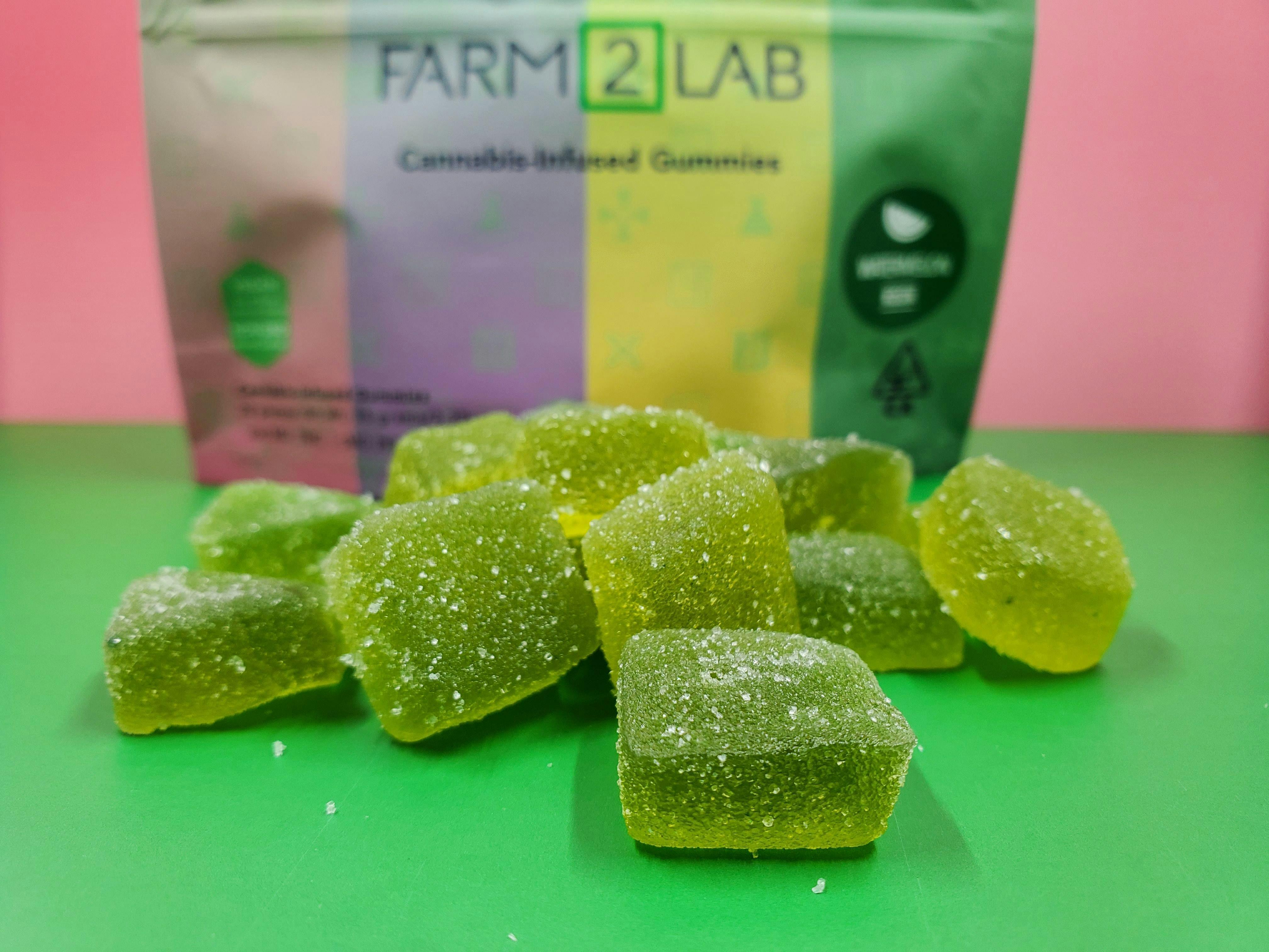 Watermelon - 100mg Rosin Gummies - image 1