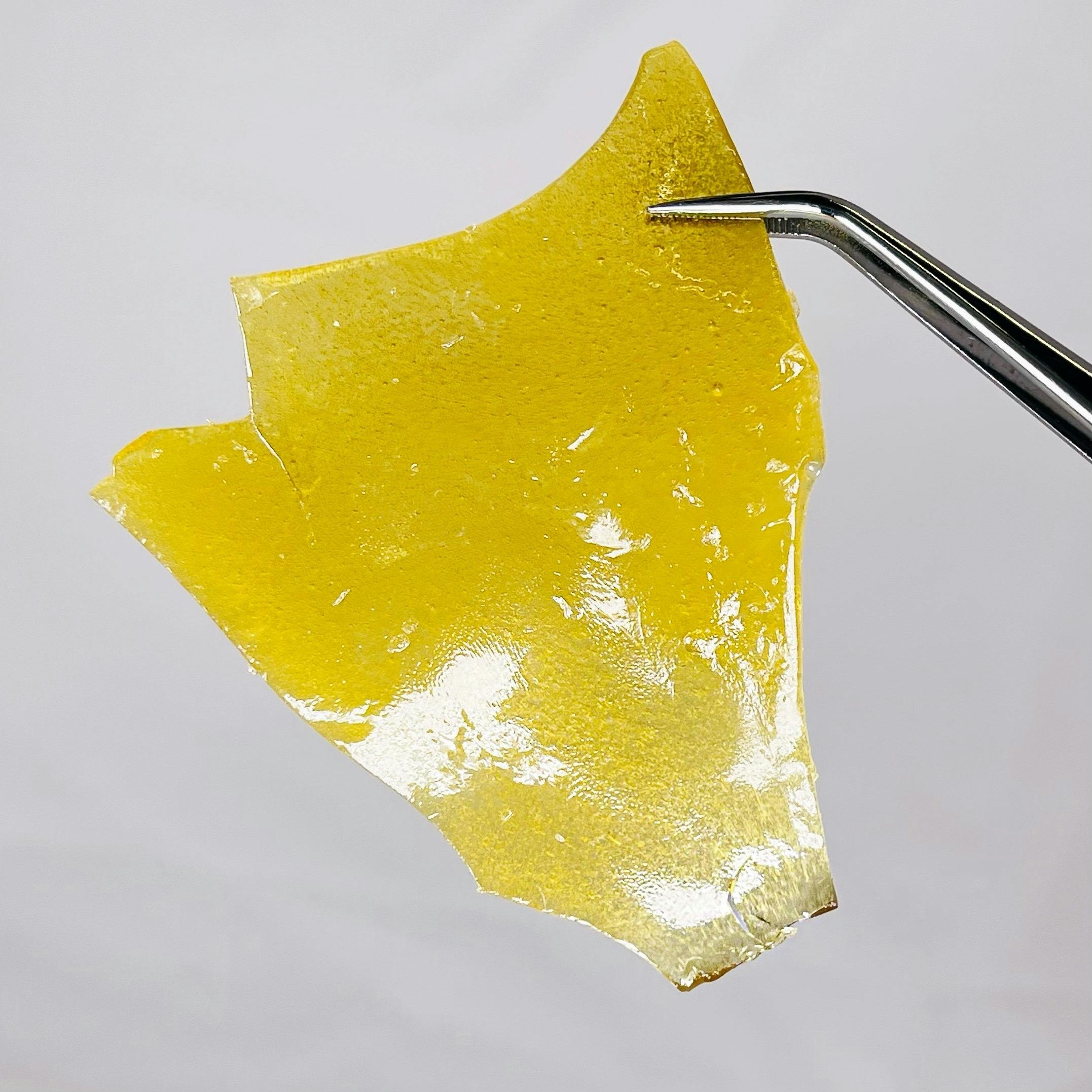 Papaya Live Rosin - image 1