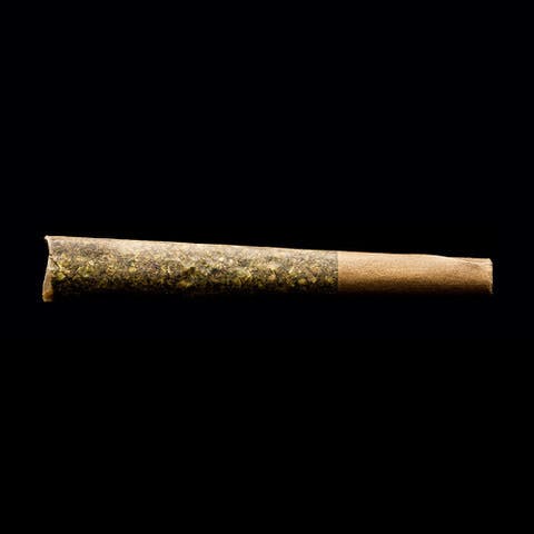 1.6g Jelly Rosin Infused Pre-Roll: Watermelon Punch x Biohazard - image 3