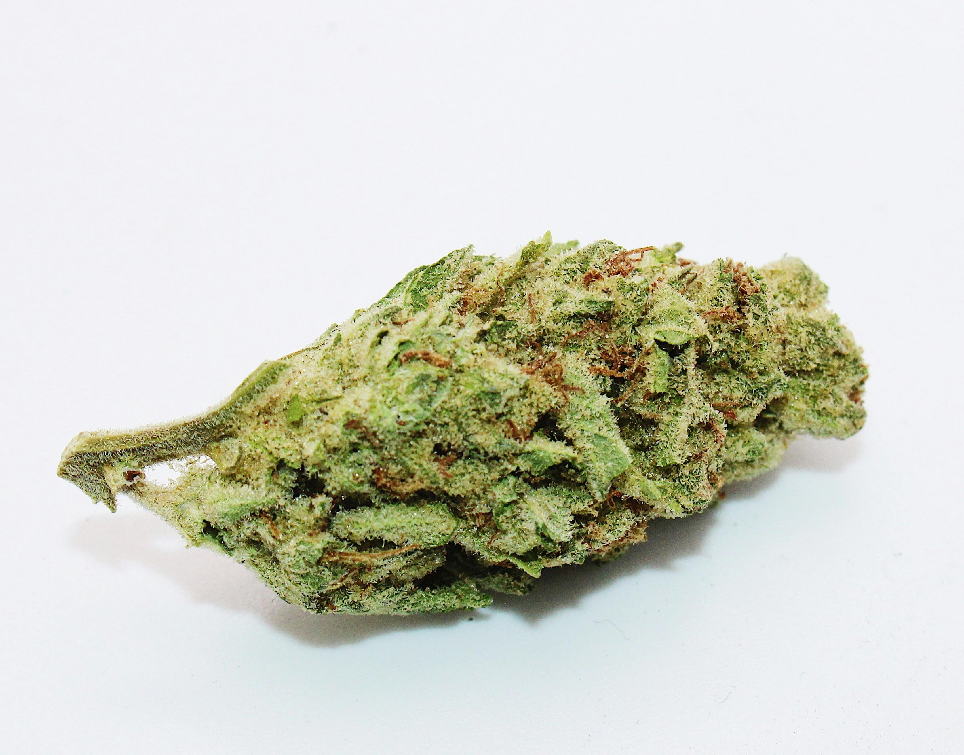 Zombie Head 8th/3.5 Grams (31% THC, Indica) - image 2