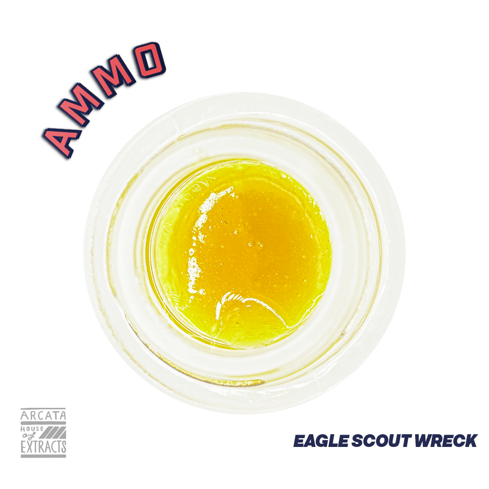 Eagle Scout Wreck - Loaded Live™ Resin - image 1