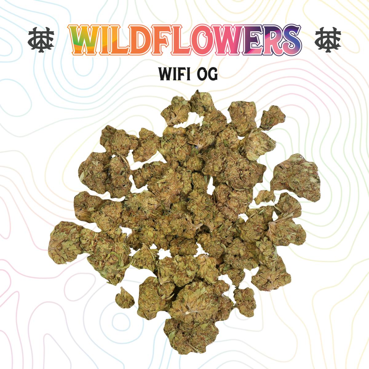 Wifi OG | 14g | Sungrown - image 1