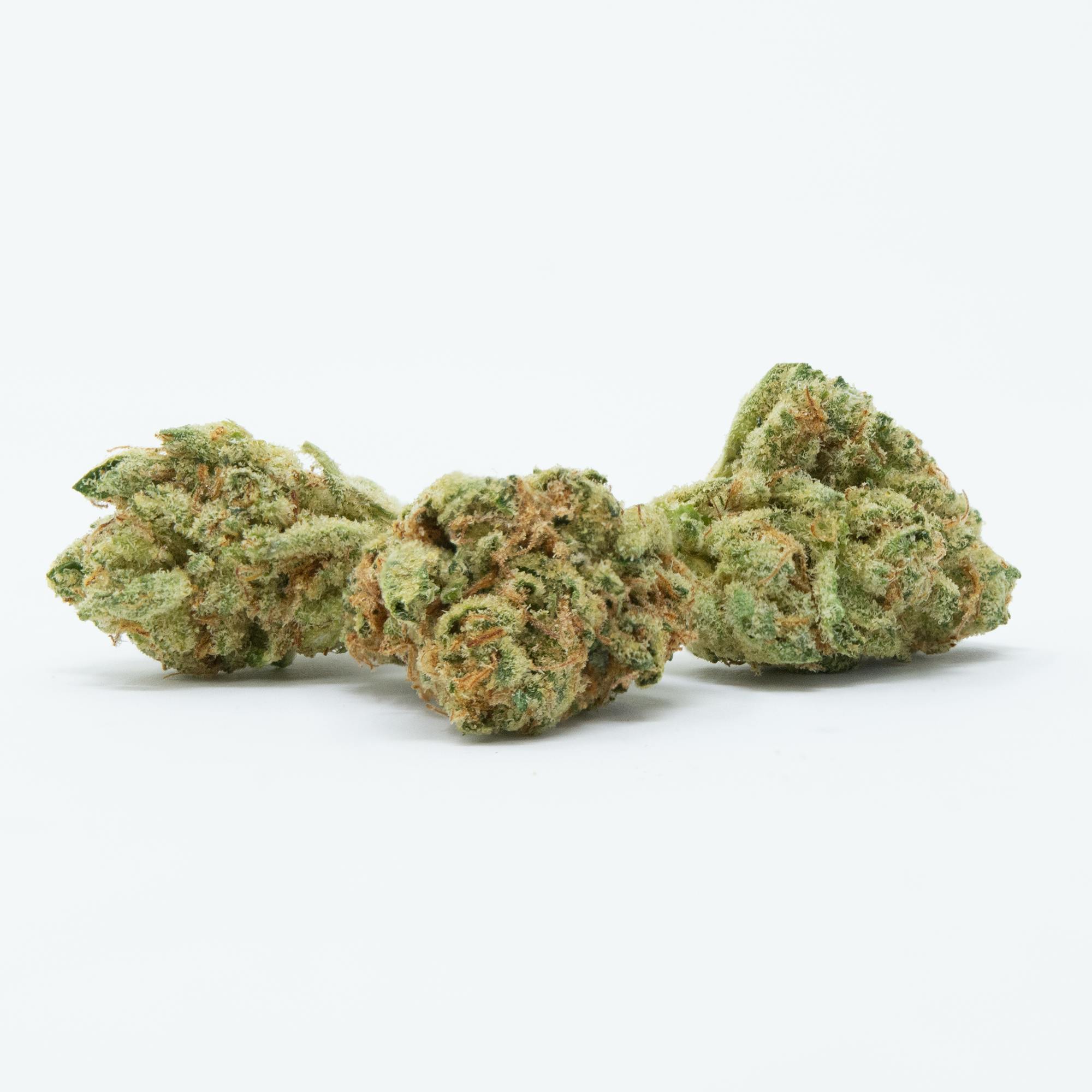 Indoor California Orange - image 1