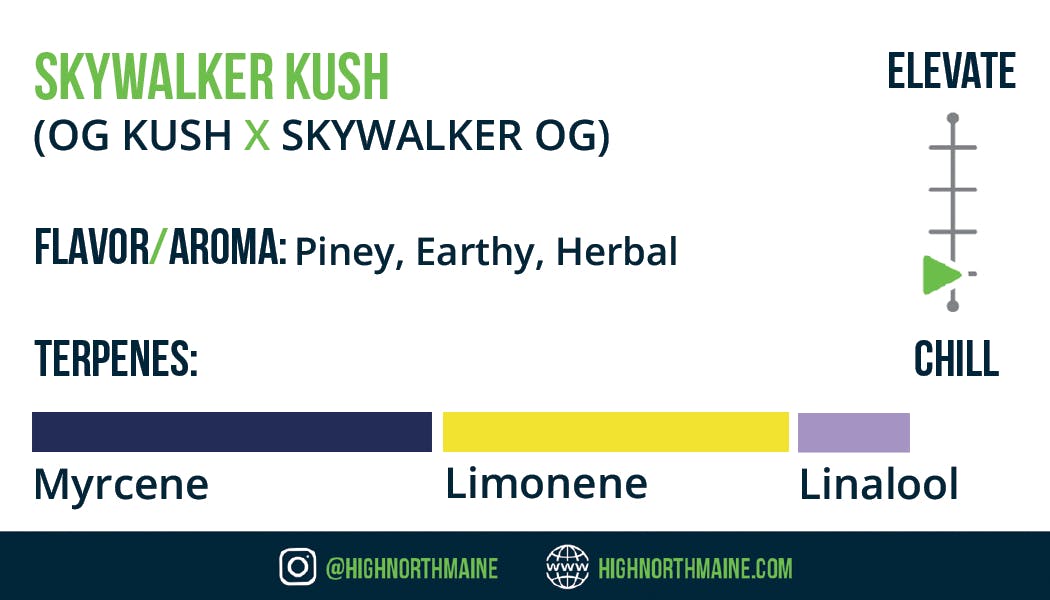 Skywalker Kush Small Flower Ounce - image 1