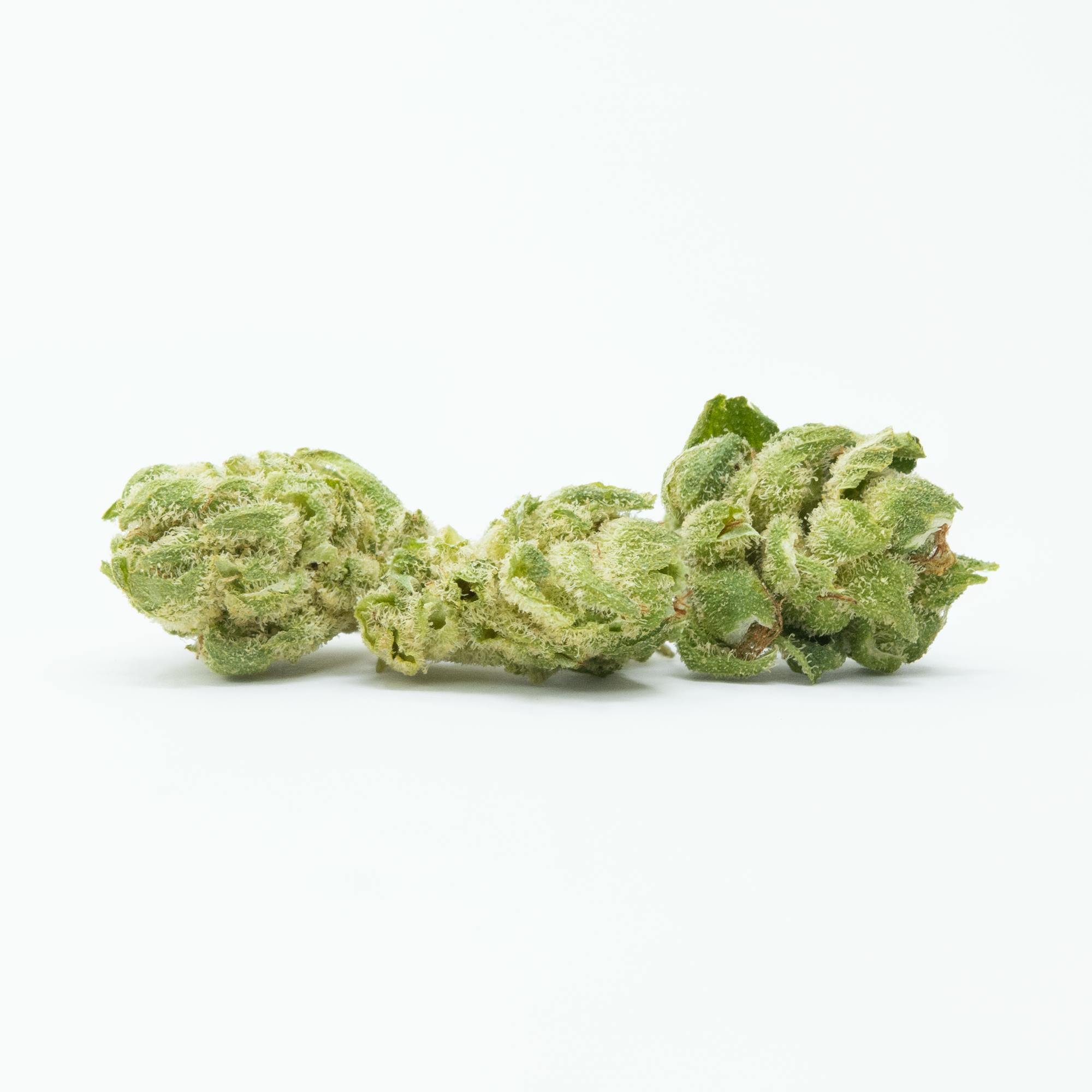 Sativa - Fruit Bubblegum 3.5g (28.29% THC) - image 1