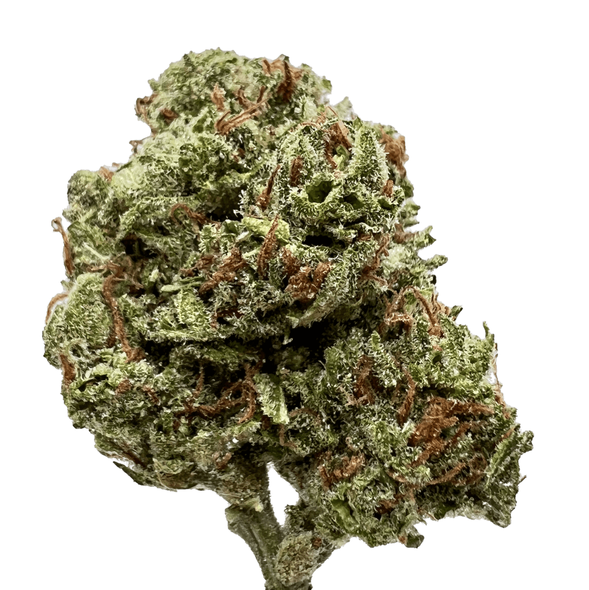 Blue Dream - 1/8th Pouch - image 6