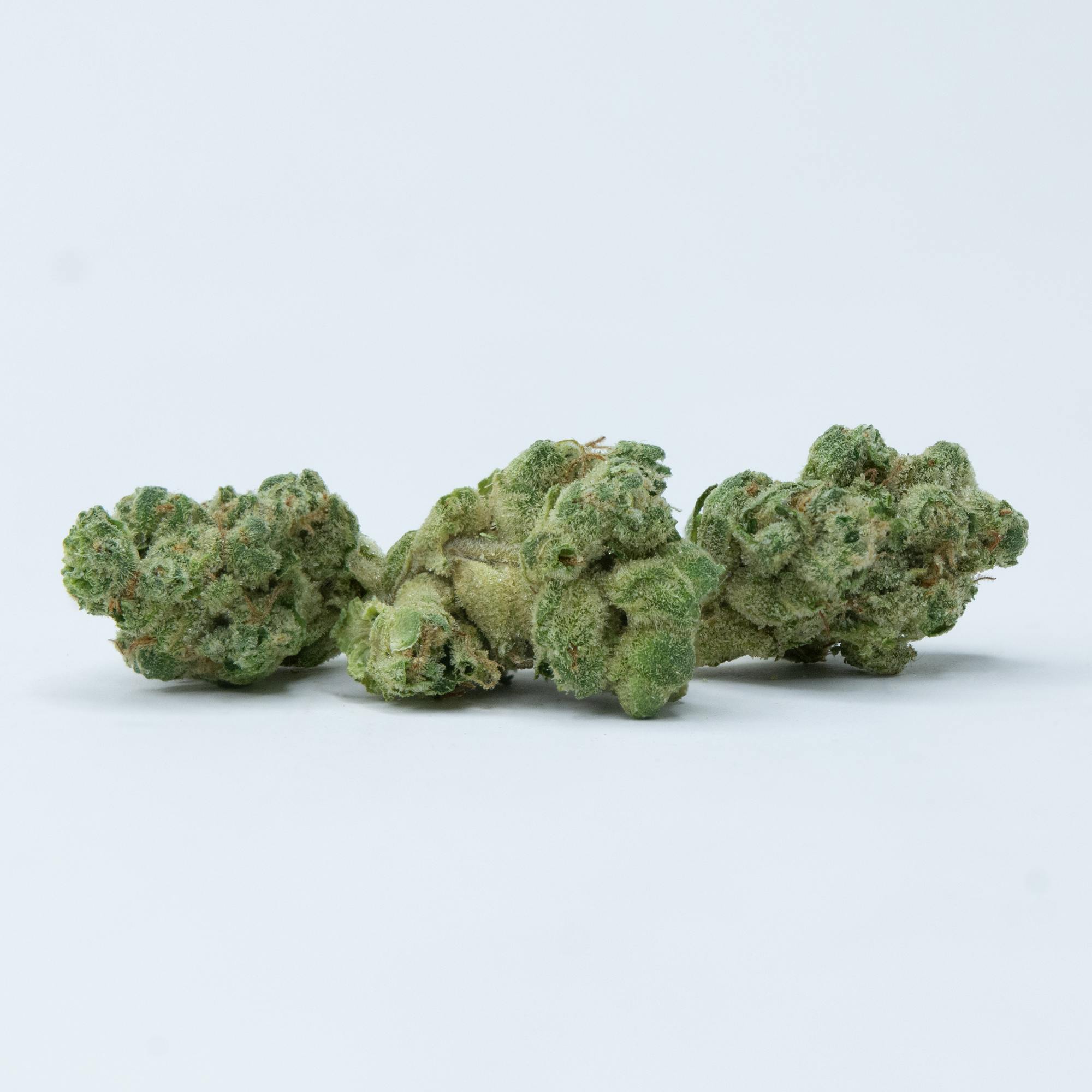 Indica - Fatso 14g (30.06% THC) - image 1