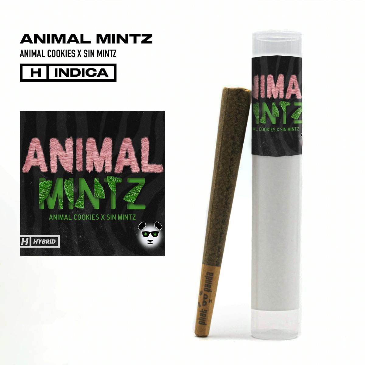 Animal Mintz - Preroll - image 1