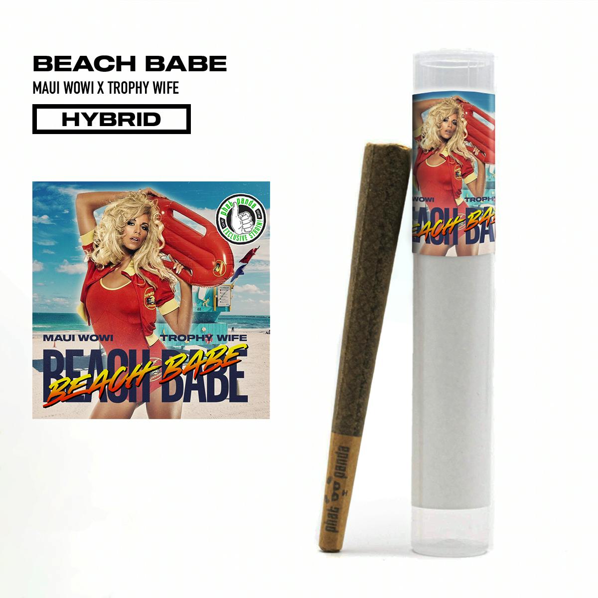 Beach Babe - Preroll - image 1