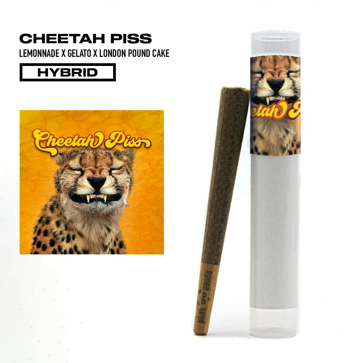 Cheetah Piss - Pre-Roll - image 1
