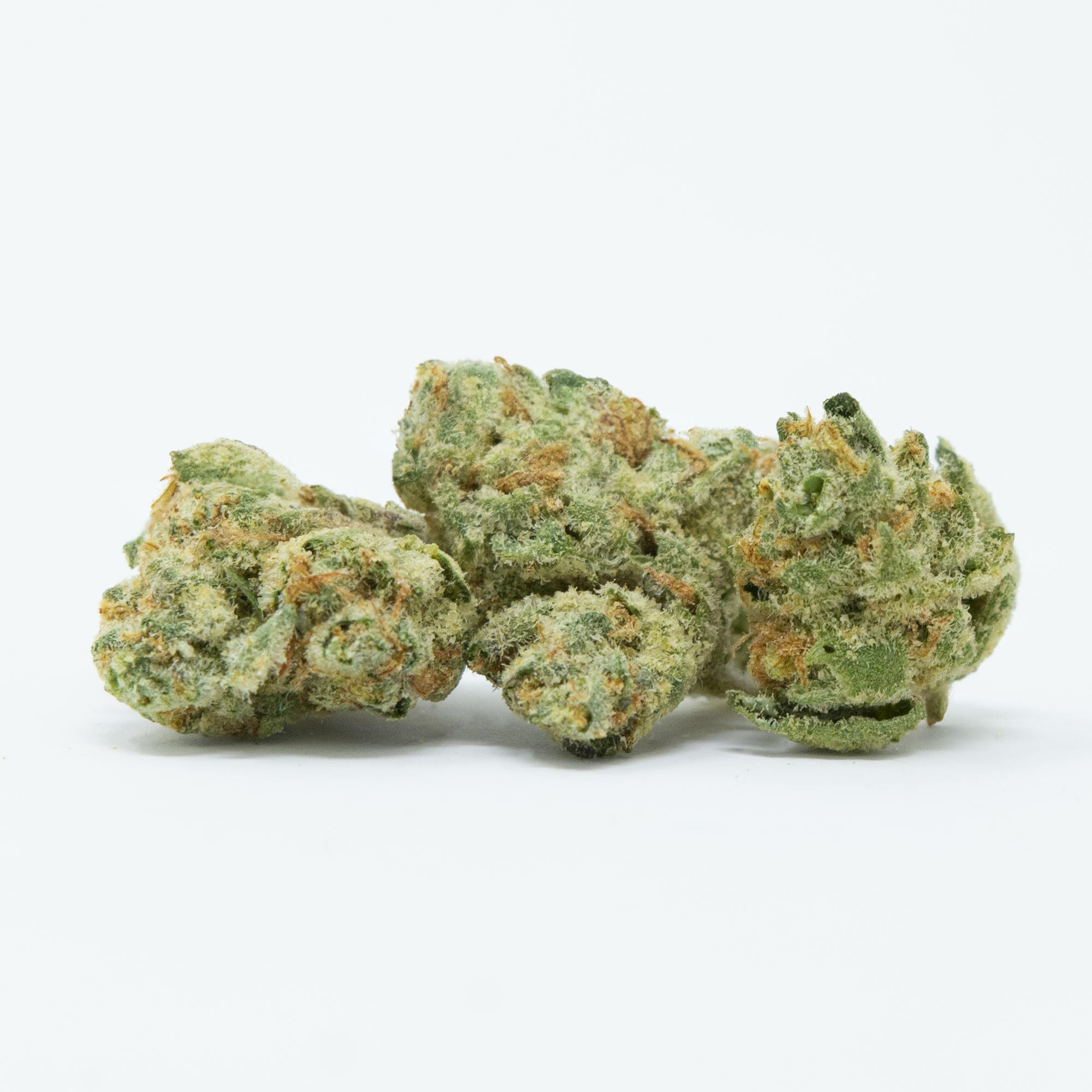 Hybrid - Cookie Glue 14g (27.29% THC) - image 1