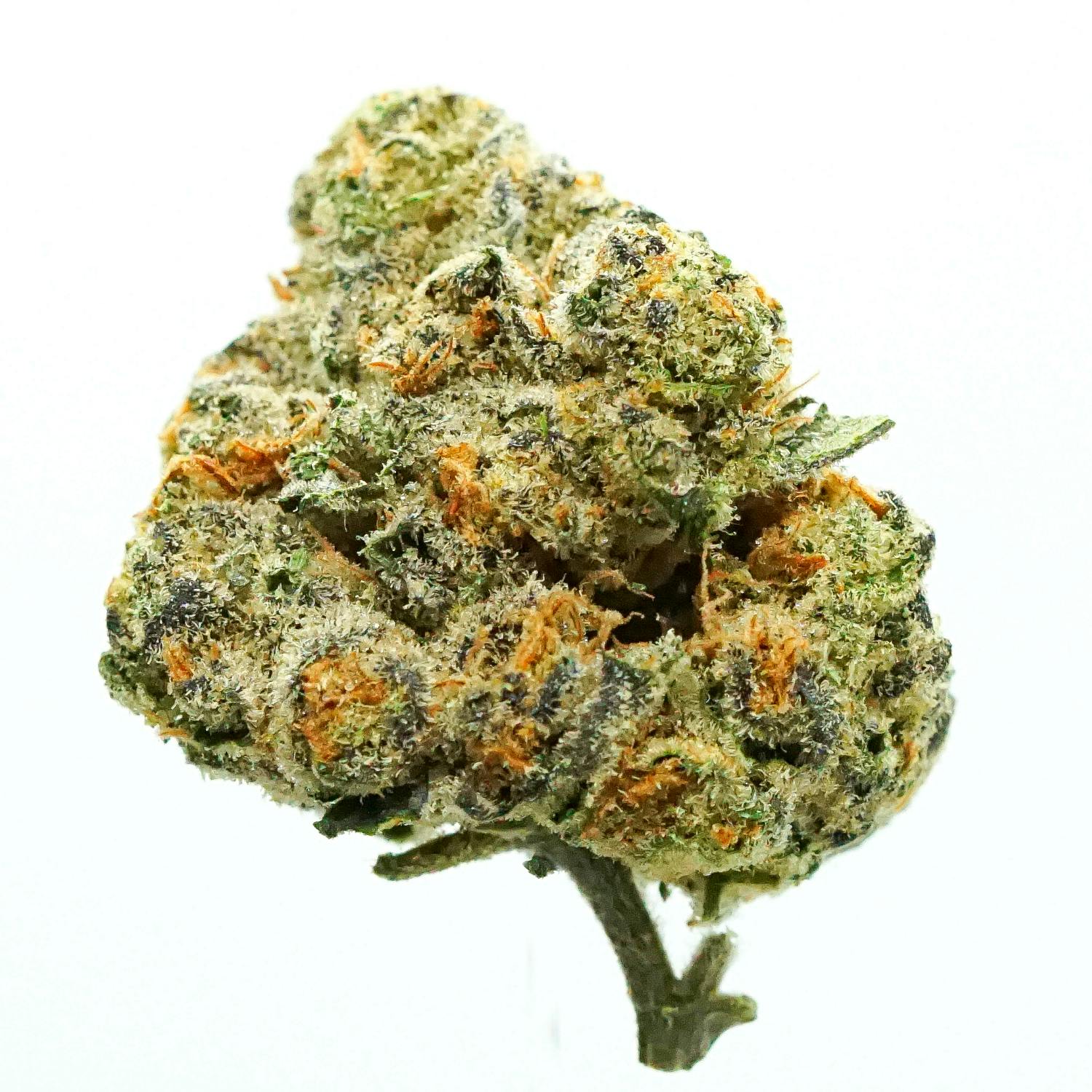 Fuel - Grape Pie x Biscotti - (3.5g) - image 1