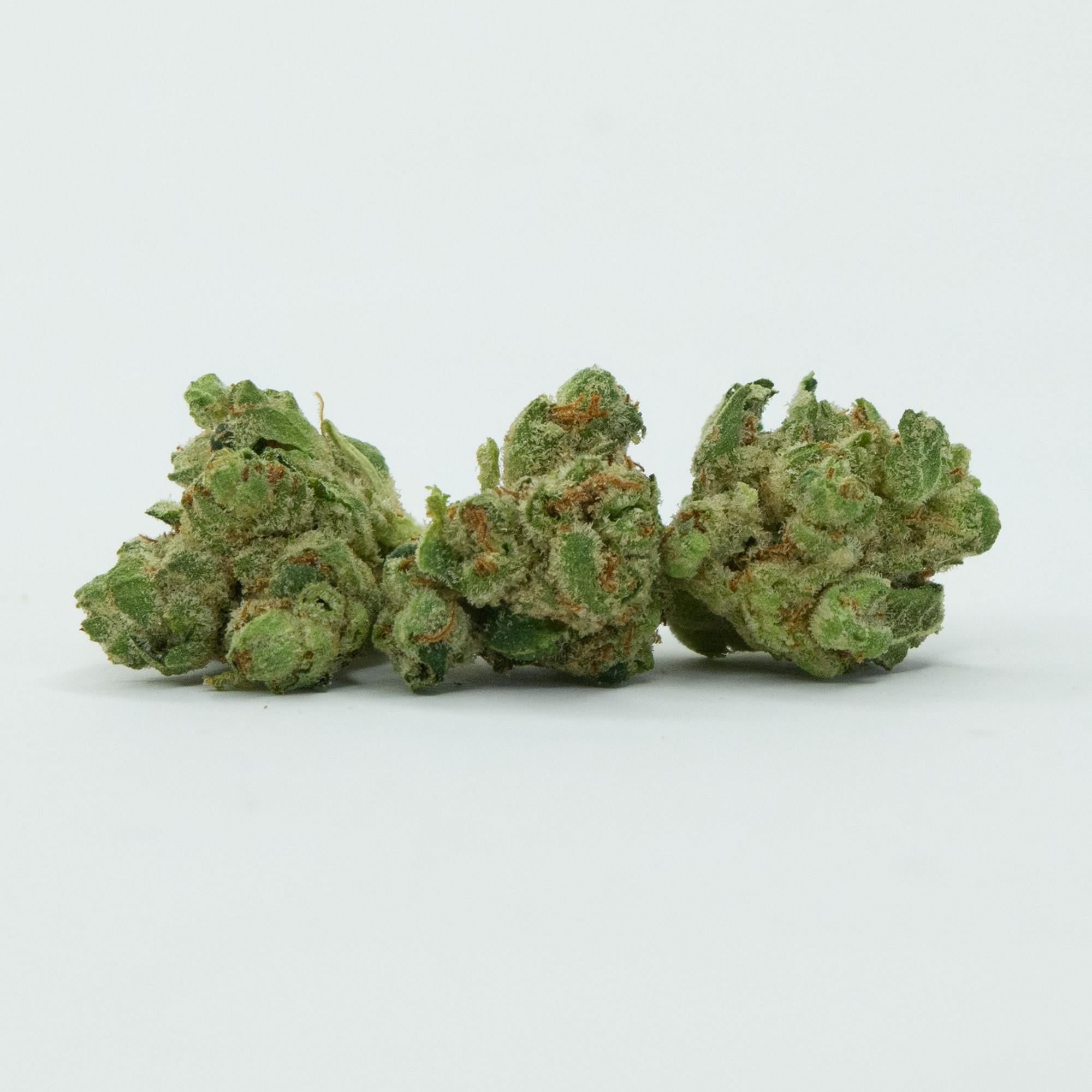 Indica - Indoor GMO 3.5g (31.03% THC) - image 1