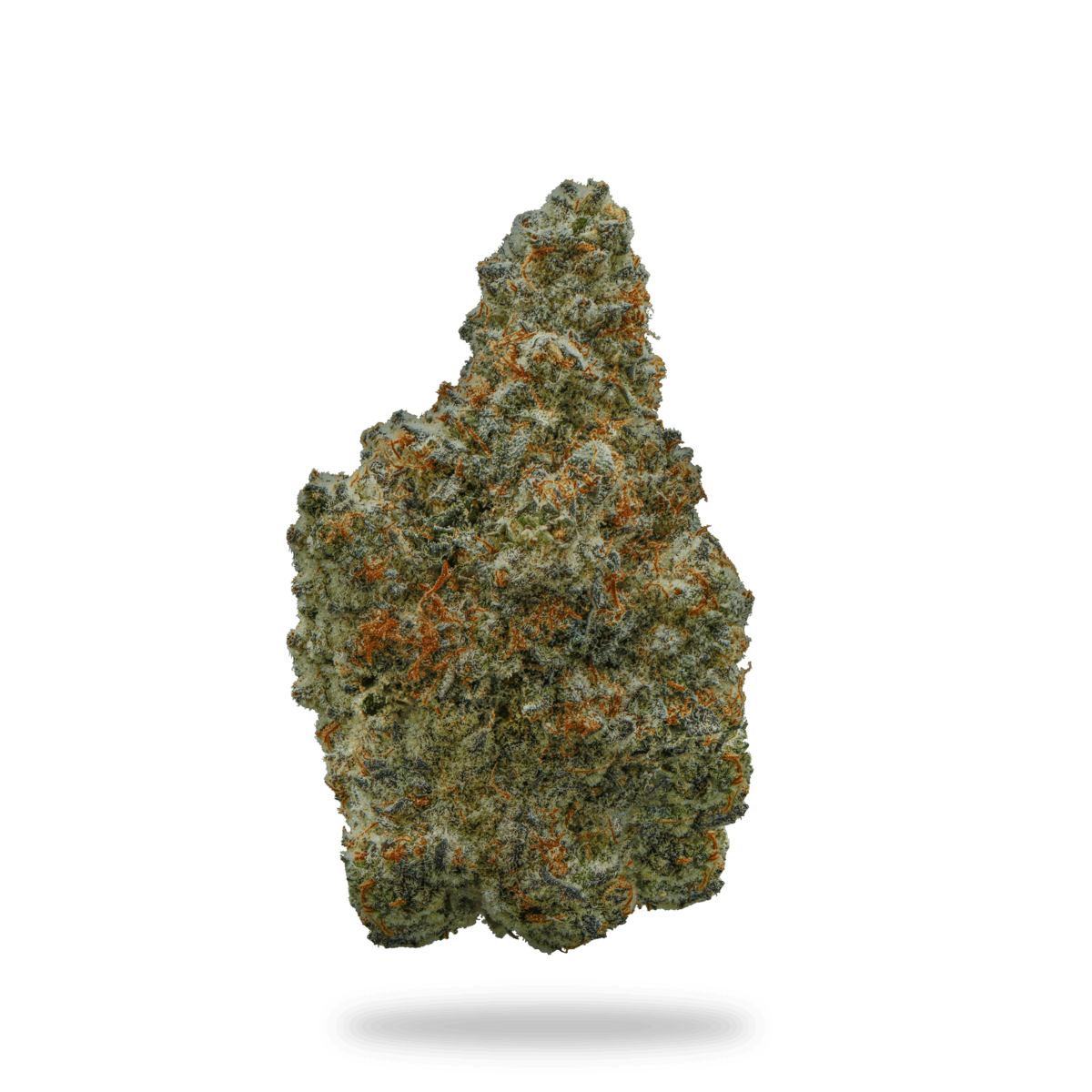 Biscoff 1g Pre-Roll - image 4