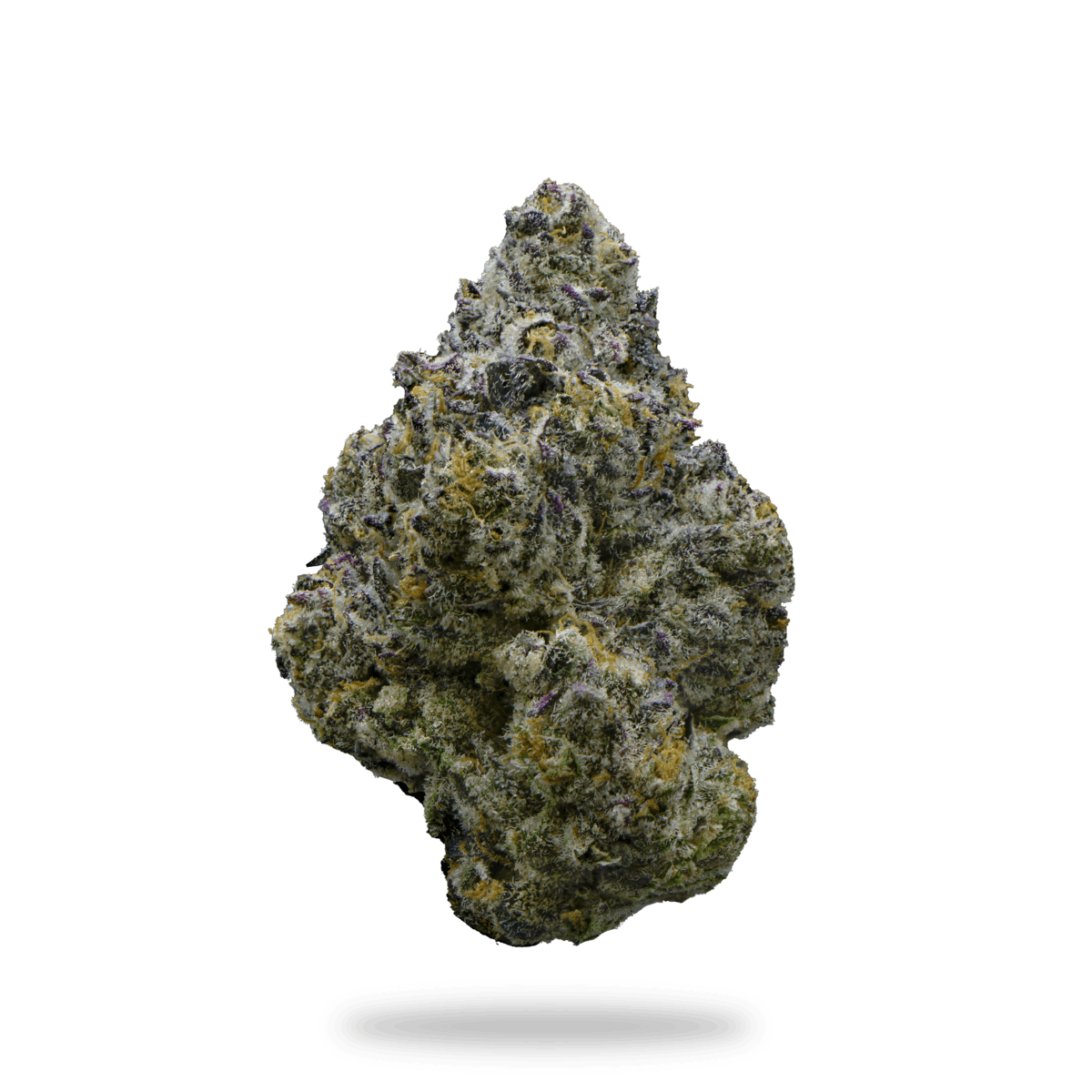 Gelatti 1g Pre-Roll - image 4