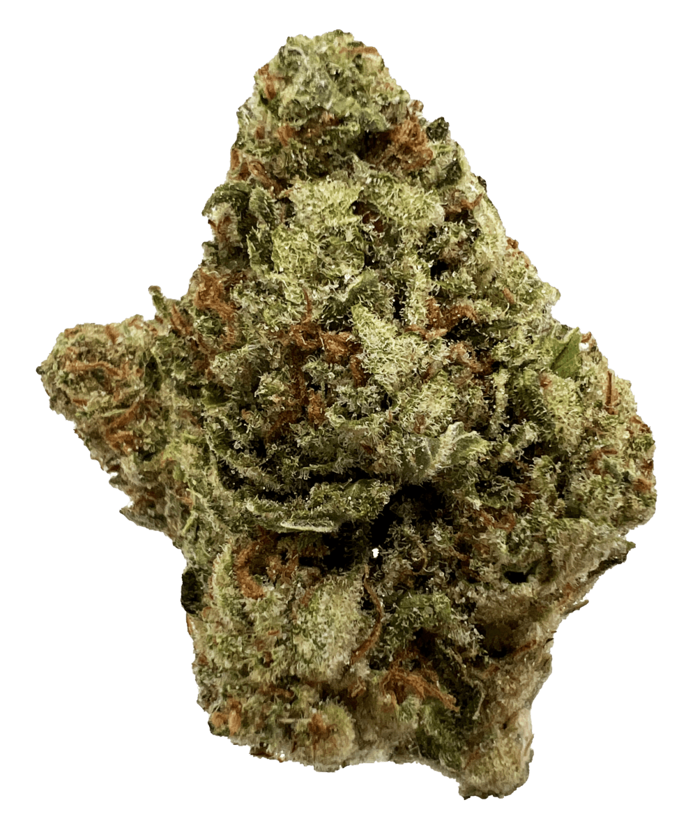Island Skunk 1/8th Pouch - image 3