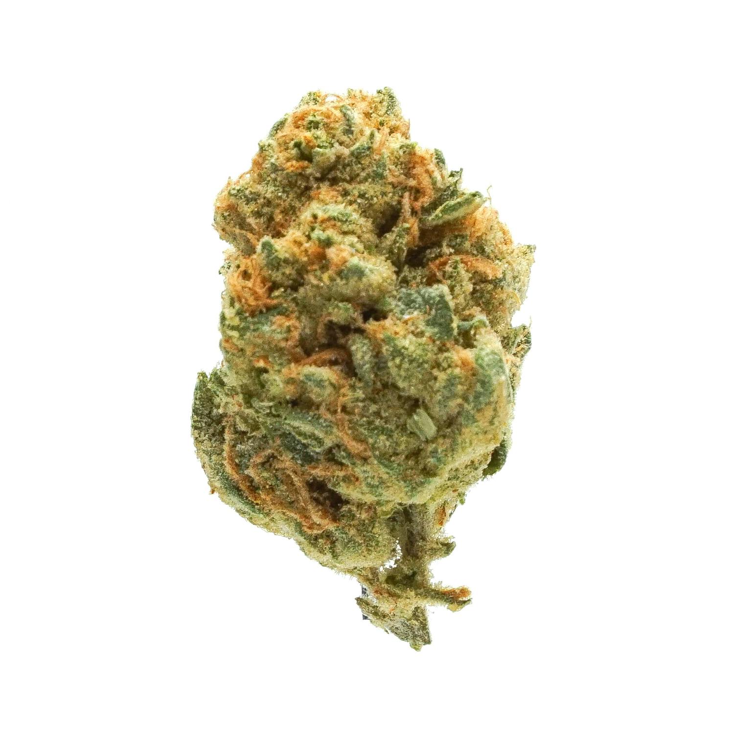 Fruit - Black Eye - (1g Preroll) - image 1