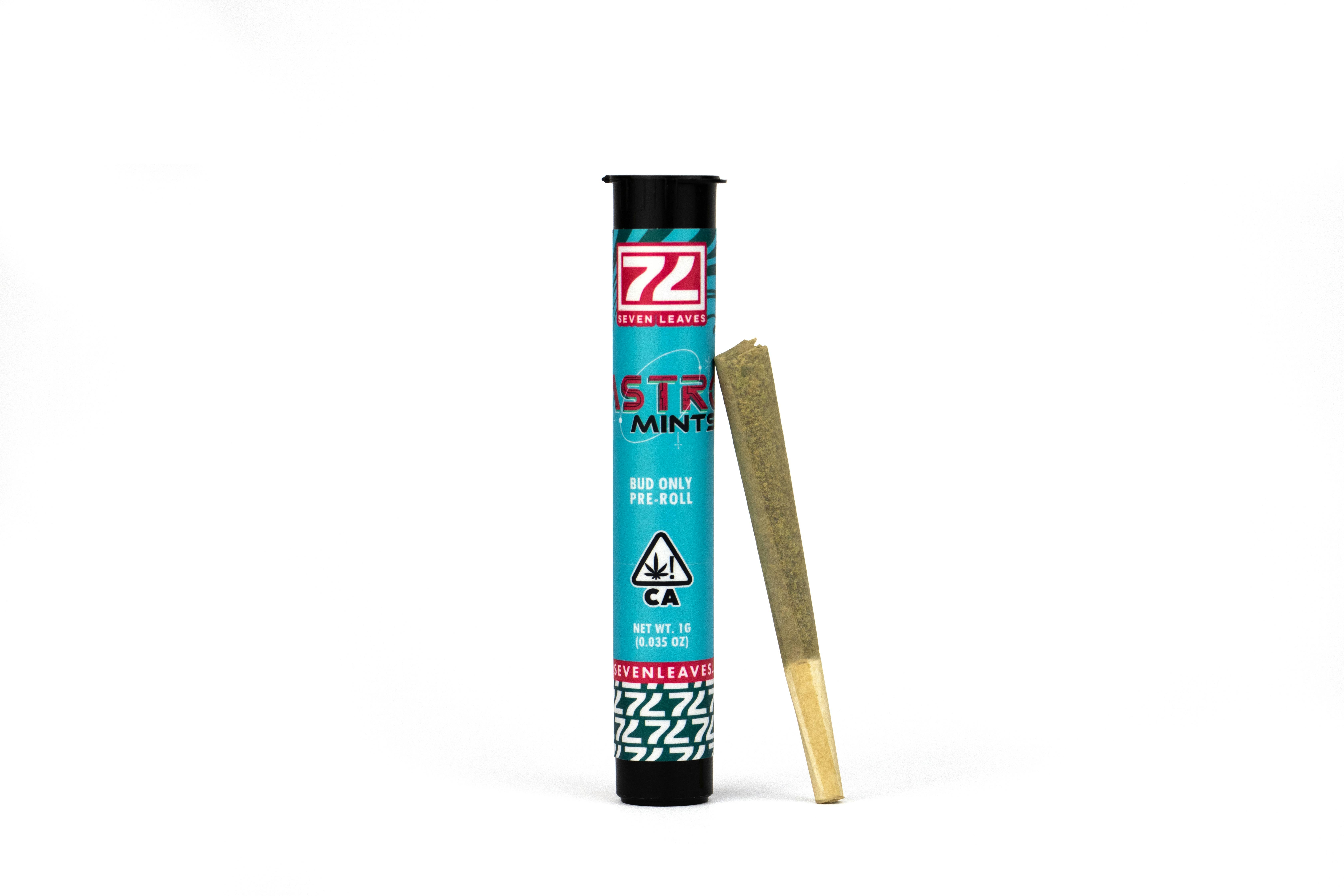Astro Mints 1g Pre-Roll - image 1
