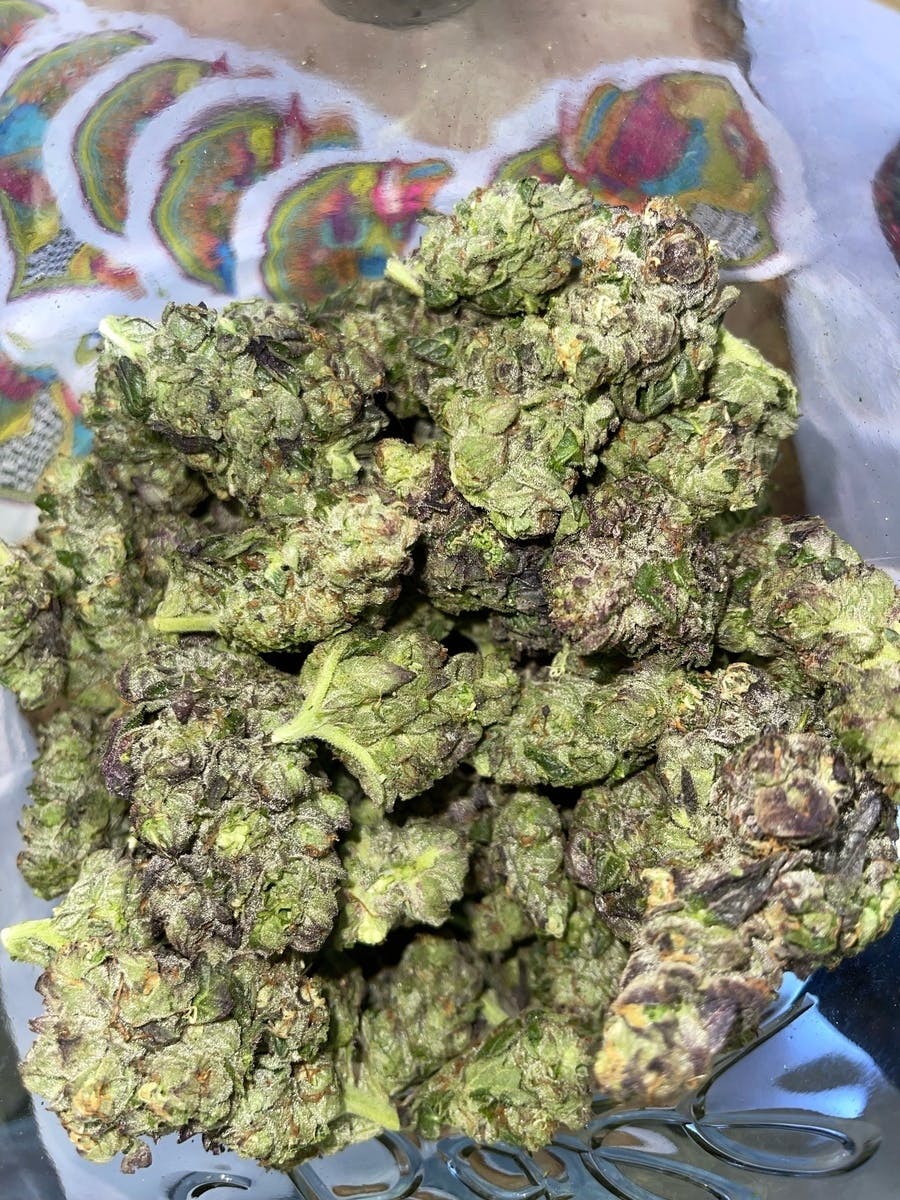 Xtreme Cream (Live Flower) 8th/3.5 Grams ( 24% THC, Indica) - image 1