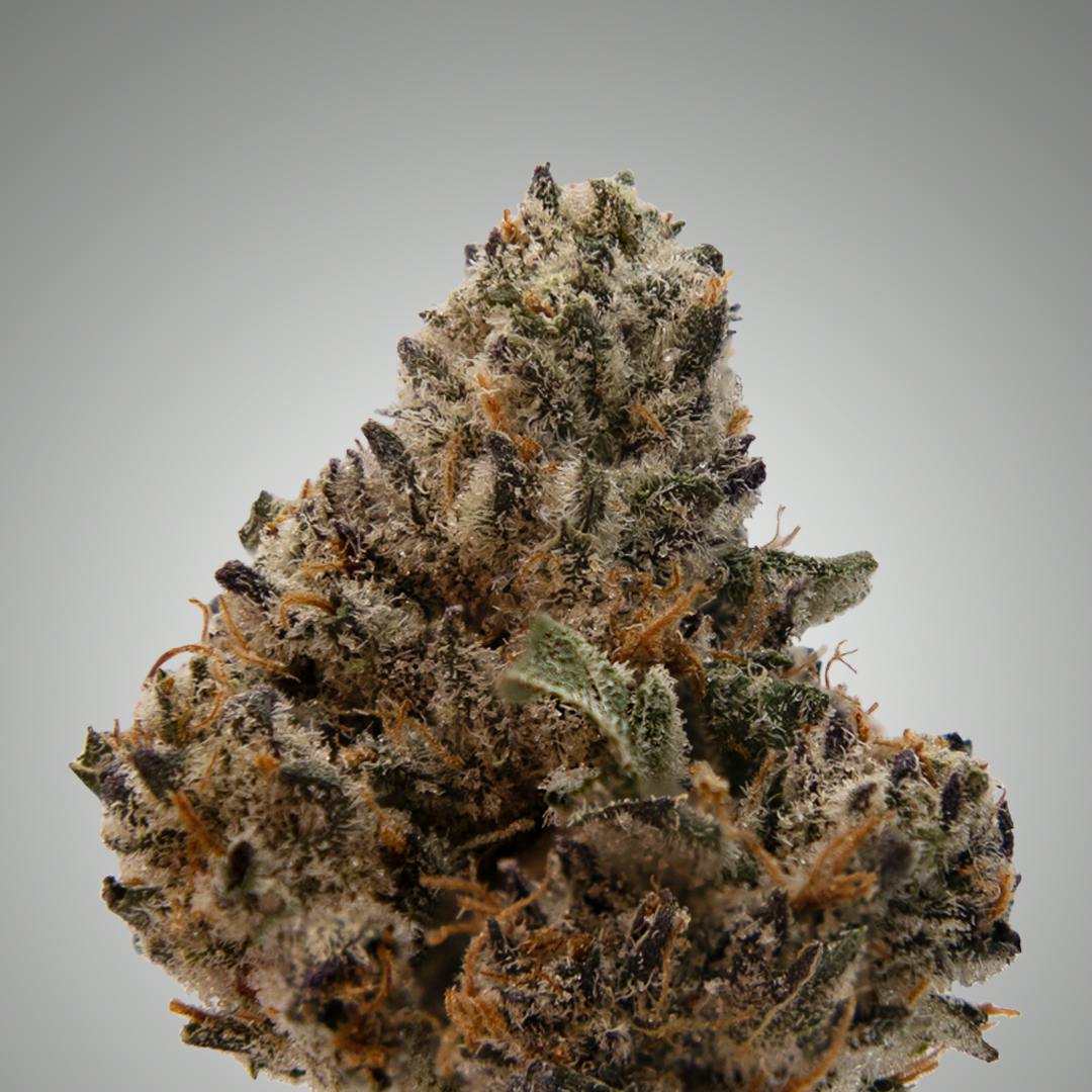 Narvona Gray | Afghan Punch Flower - image 3