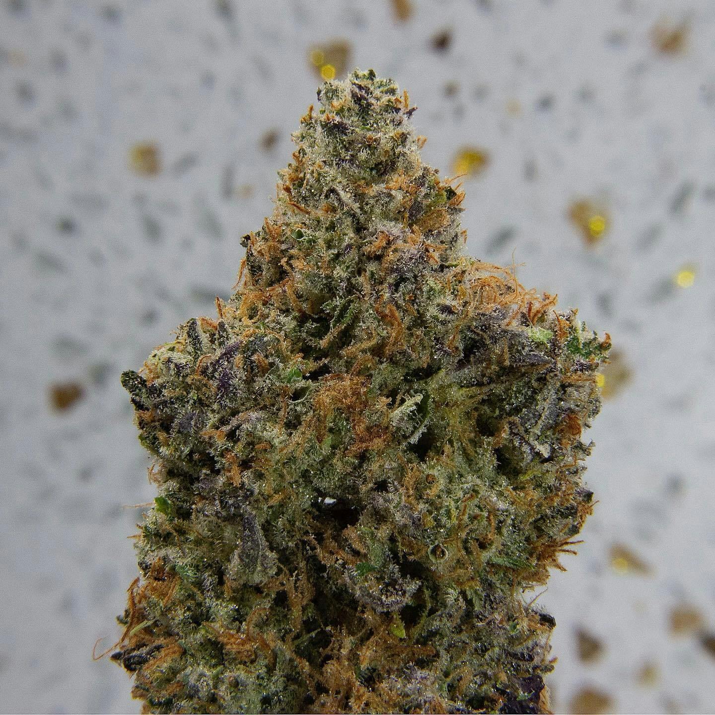 Narvona White | Mendo Diesel Flower - image 2