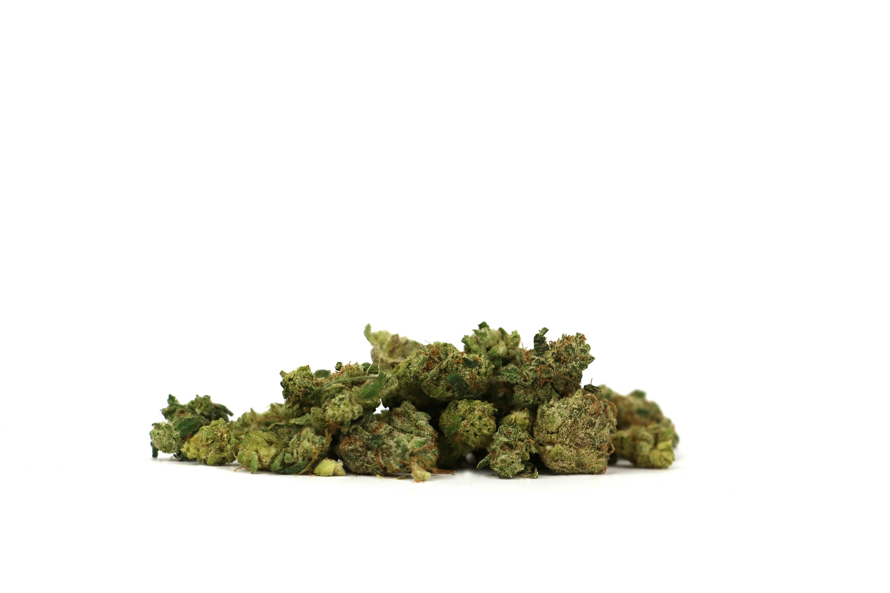 Jupiter Jack 14g Smalz - image 2