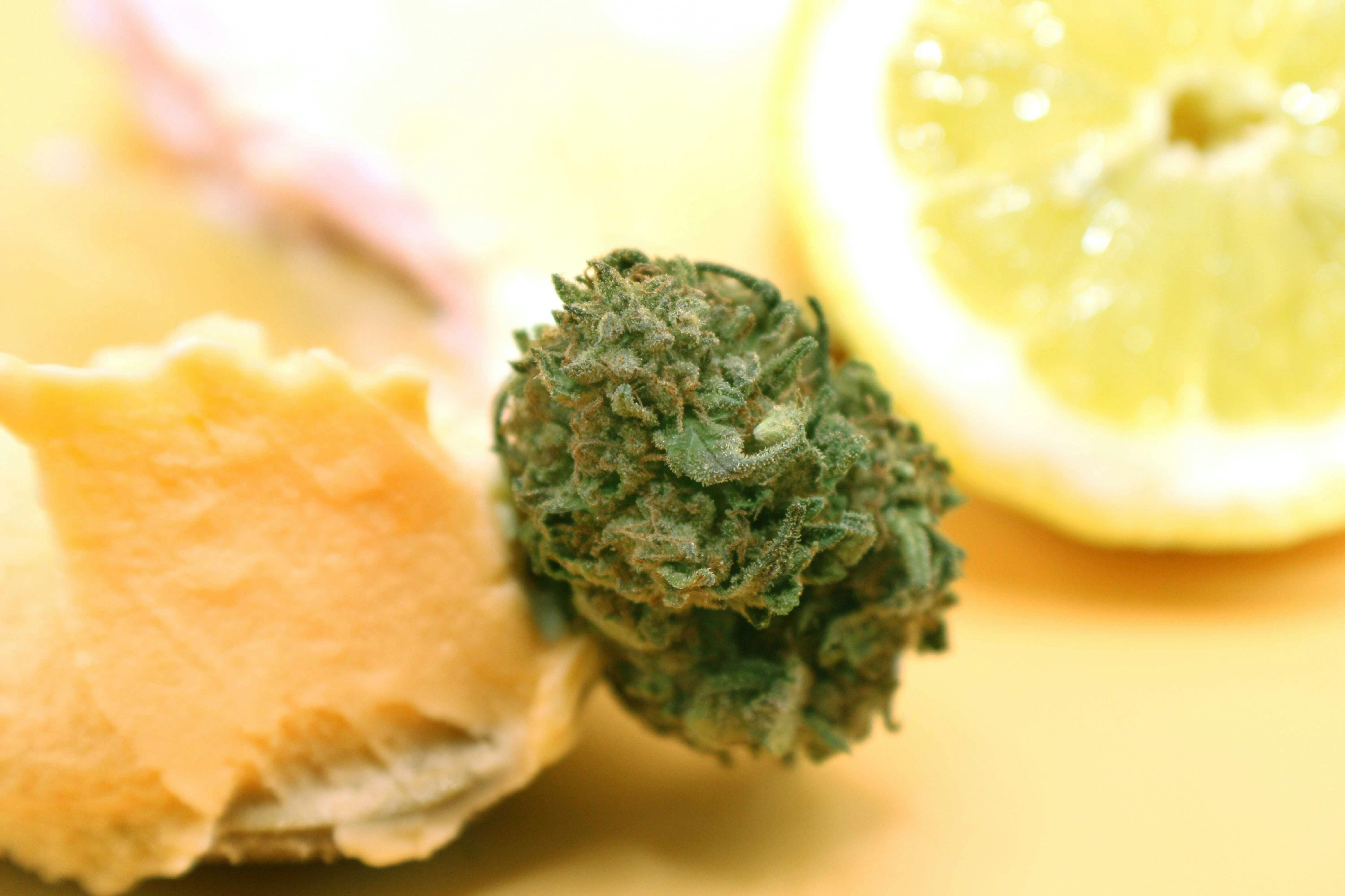 Sunset Sherbet 1 Gram (28% THC, INDICA) - image 2