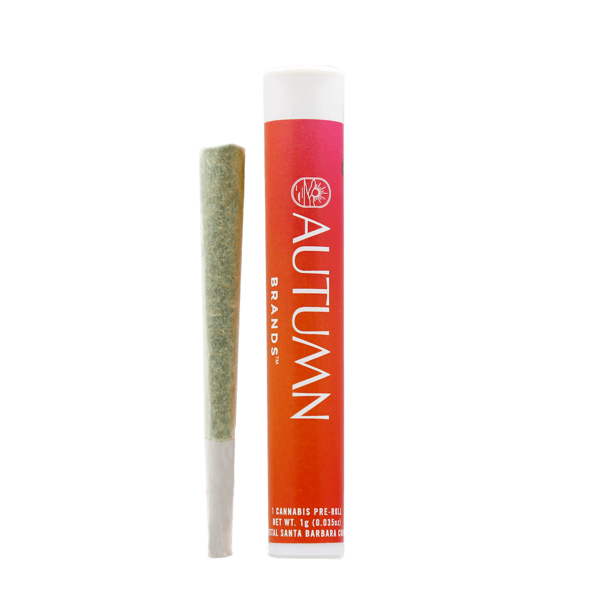 Banana Zkittlez 1 Gram Preroll - image 1