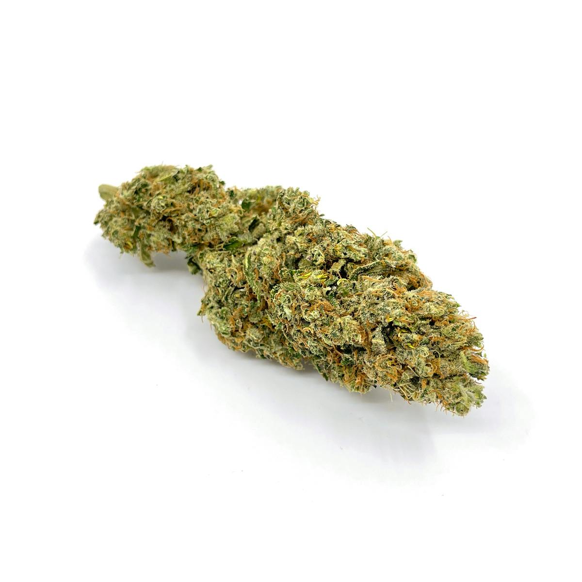Amnesia Haze Feminized - Cannabis King Genetic Premium Seed Bank - image 2