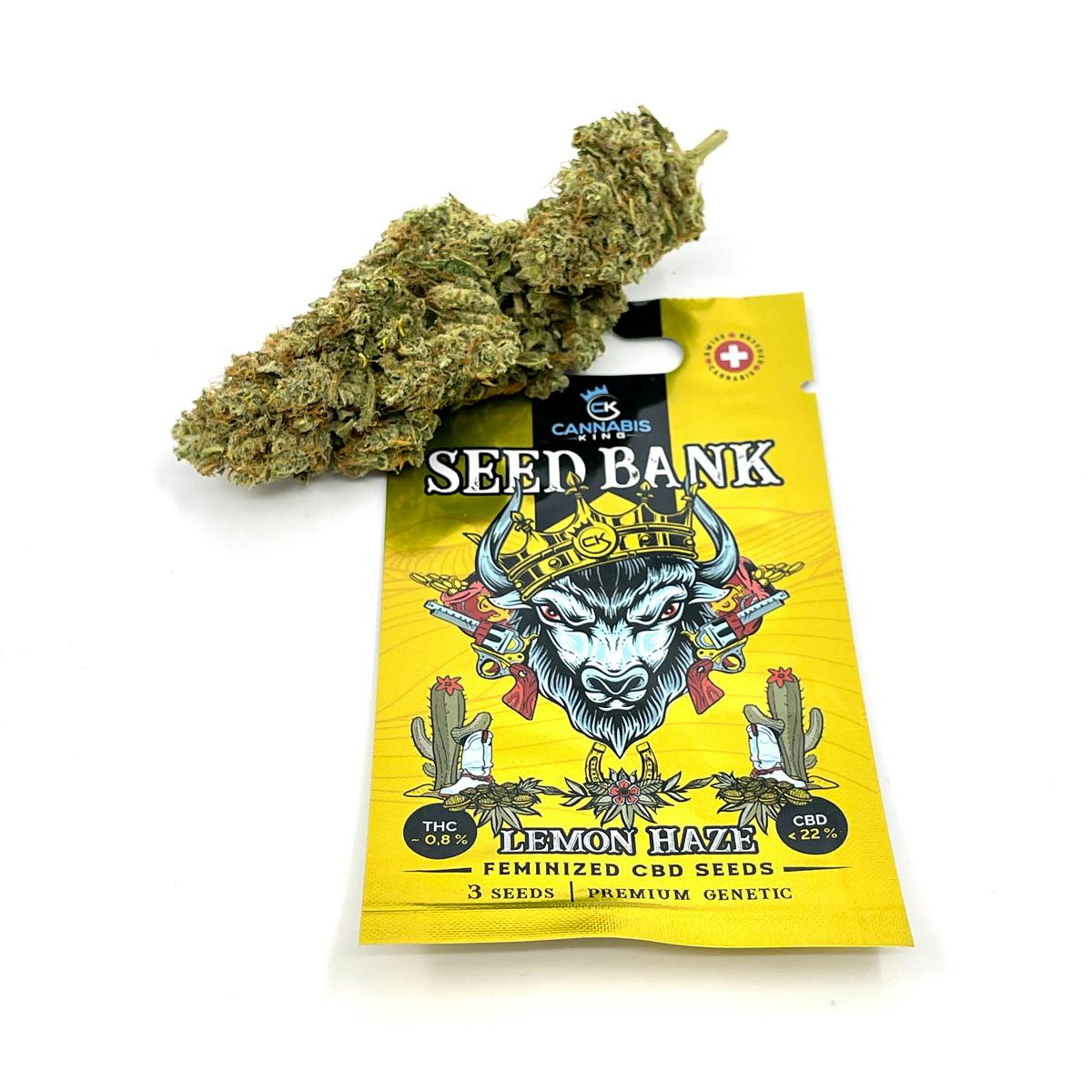 Amnesia Haze Feminized - Cannabis King Genetic Premium Seed Bank - image 1