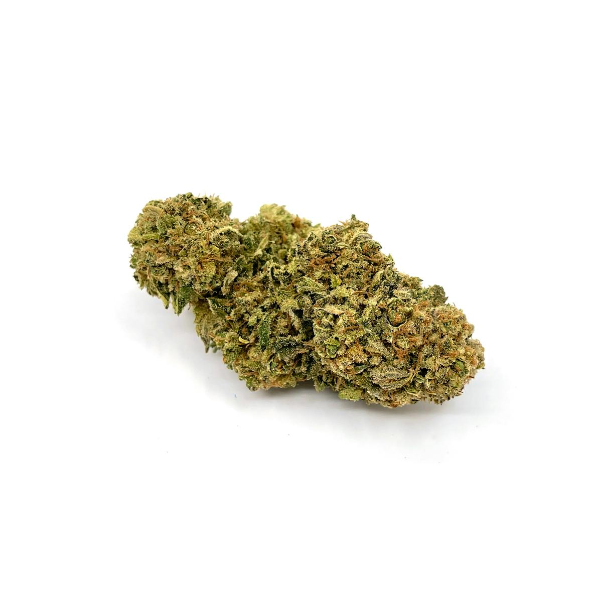Blueberry Kush Feminized - Cannabis King Seed Bank - image 2