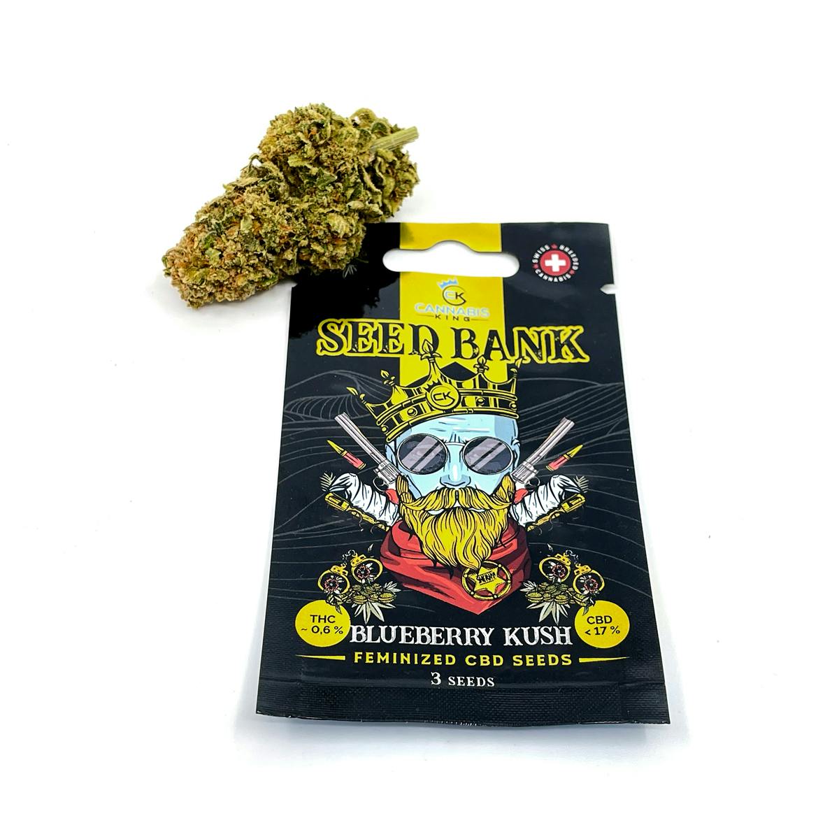 Blueberry Kush Feminized - Cannabis King Seed Bank - image 1