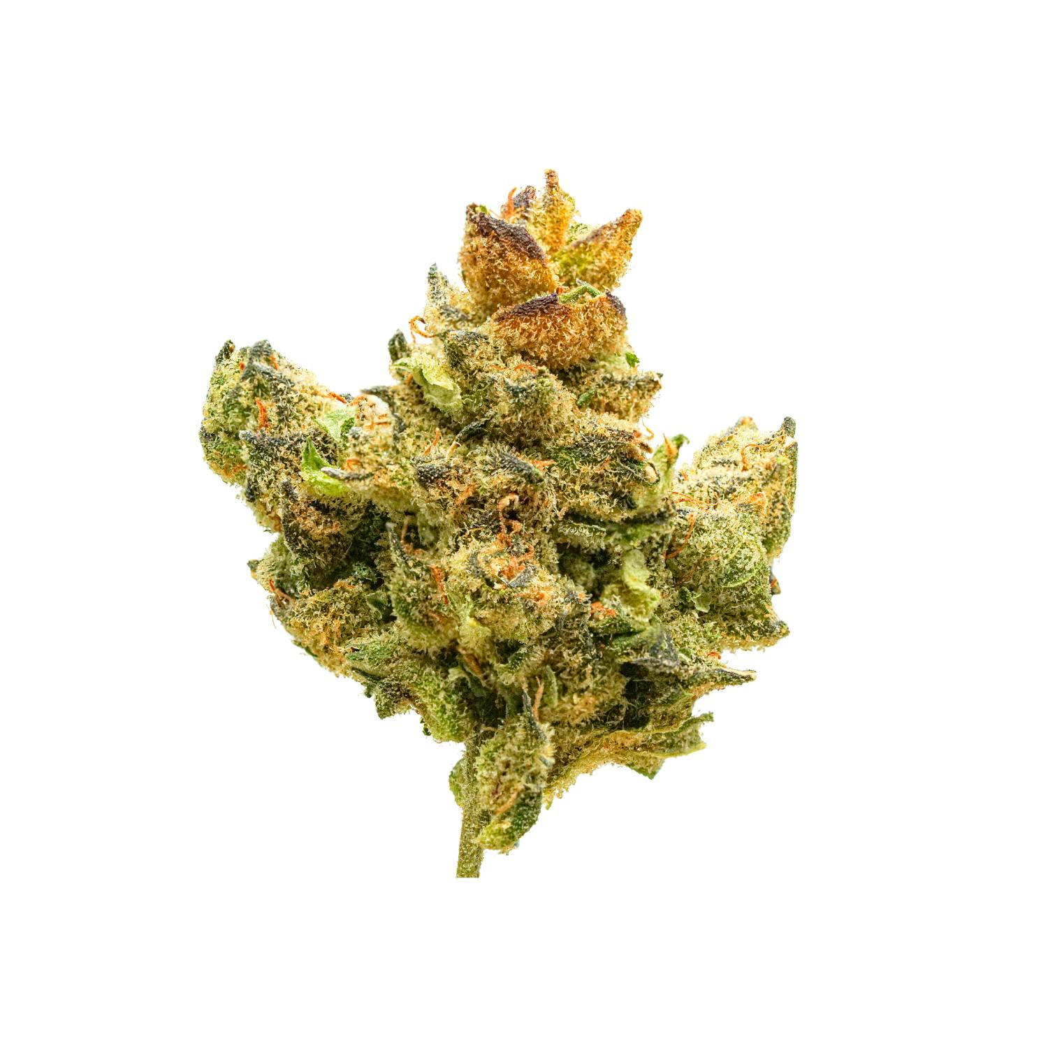 Fuel - White Truffle - (1g Preroll) - image 3