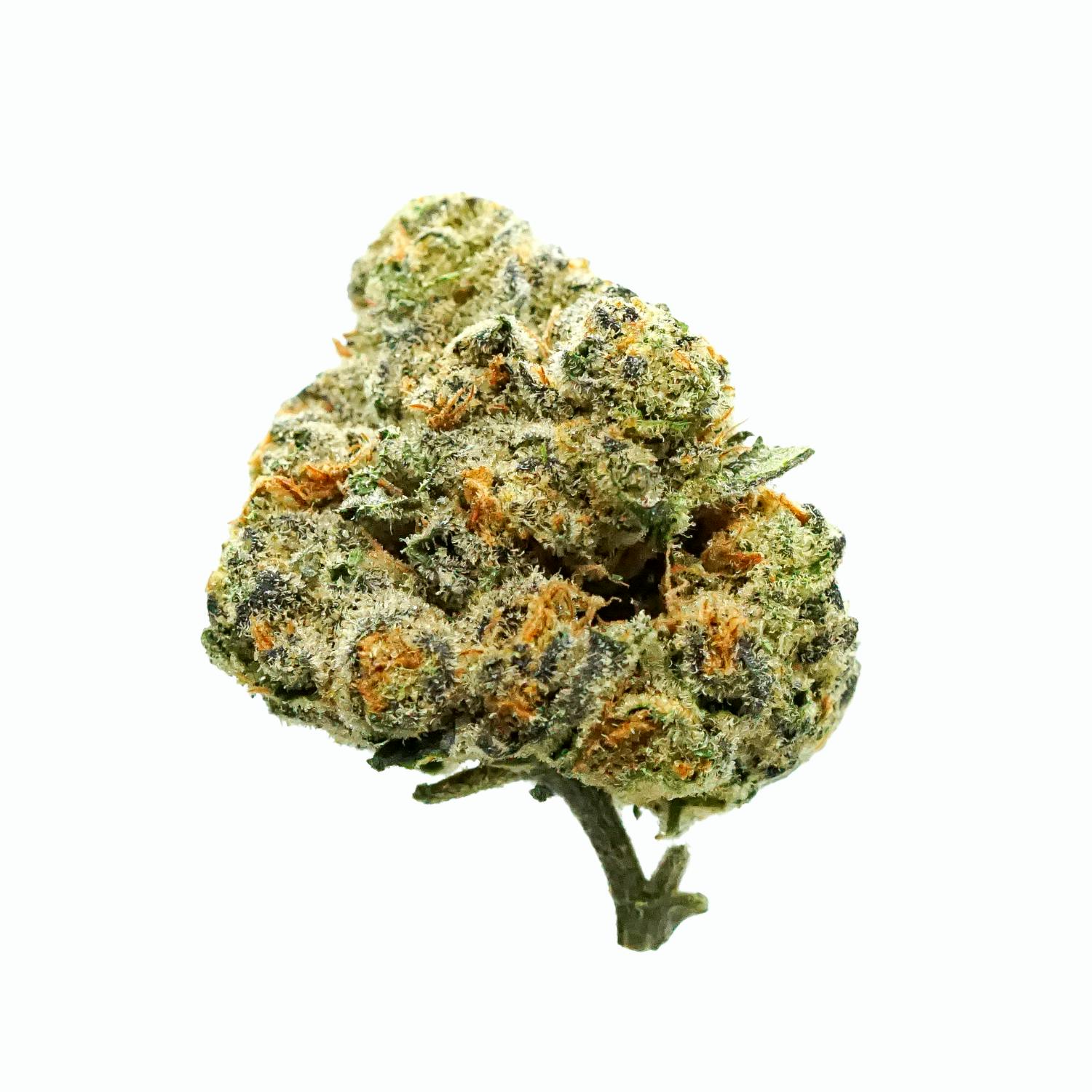 The Smallz - Biscotti x Grape Pie - (14g) - image 1