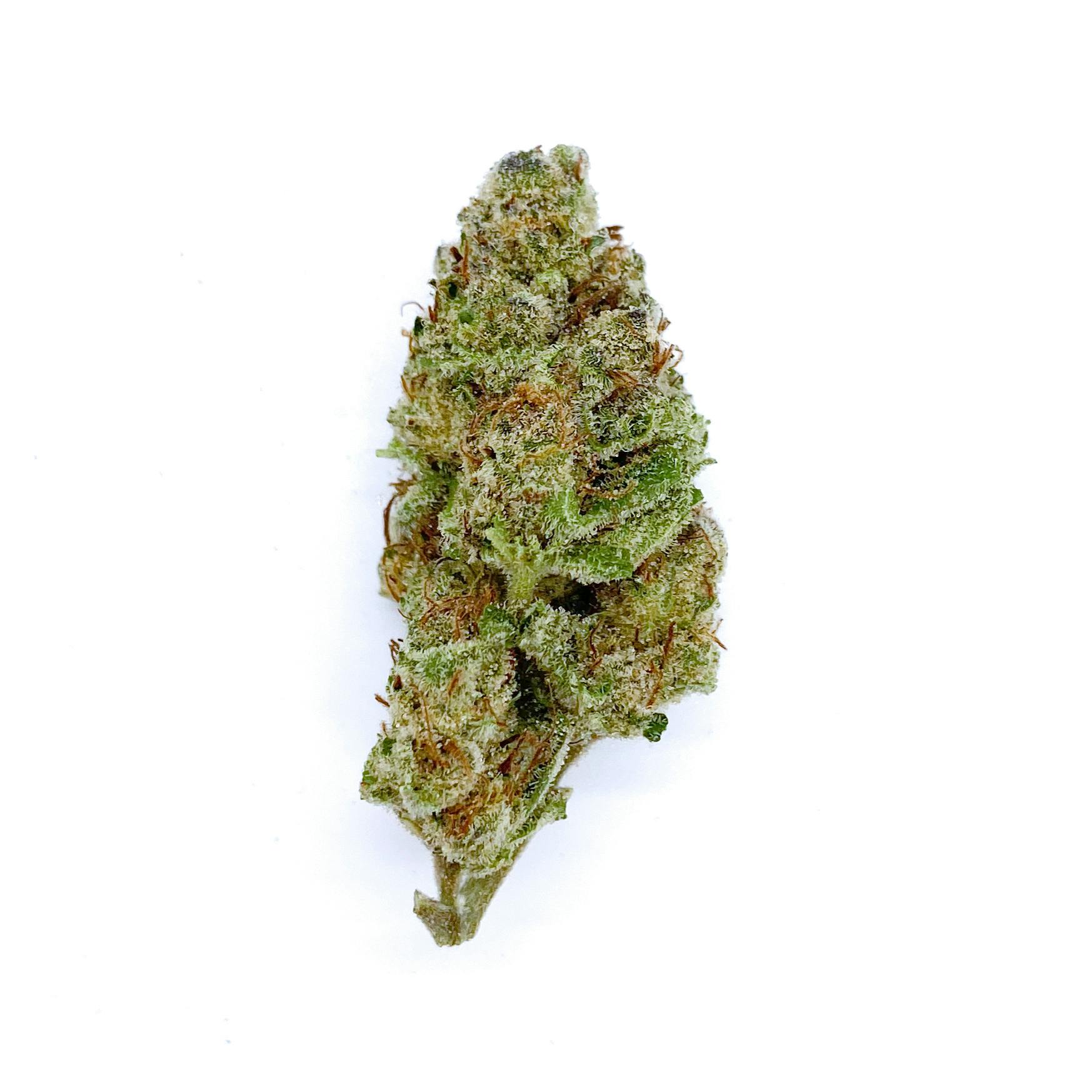 3.5g Jar- Purple Urkle - image 2