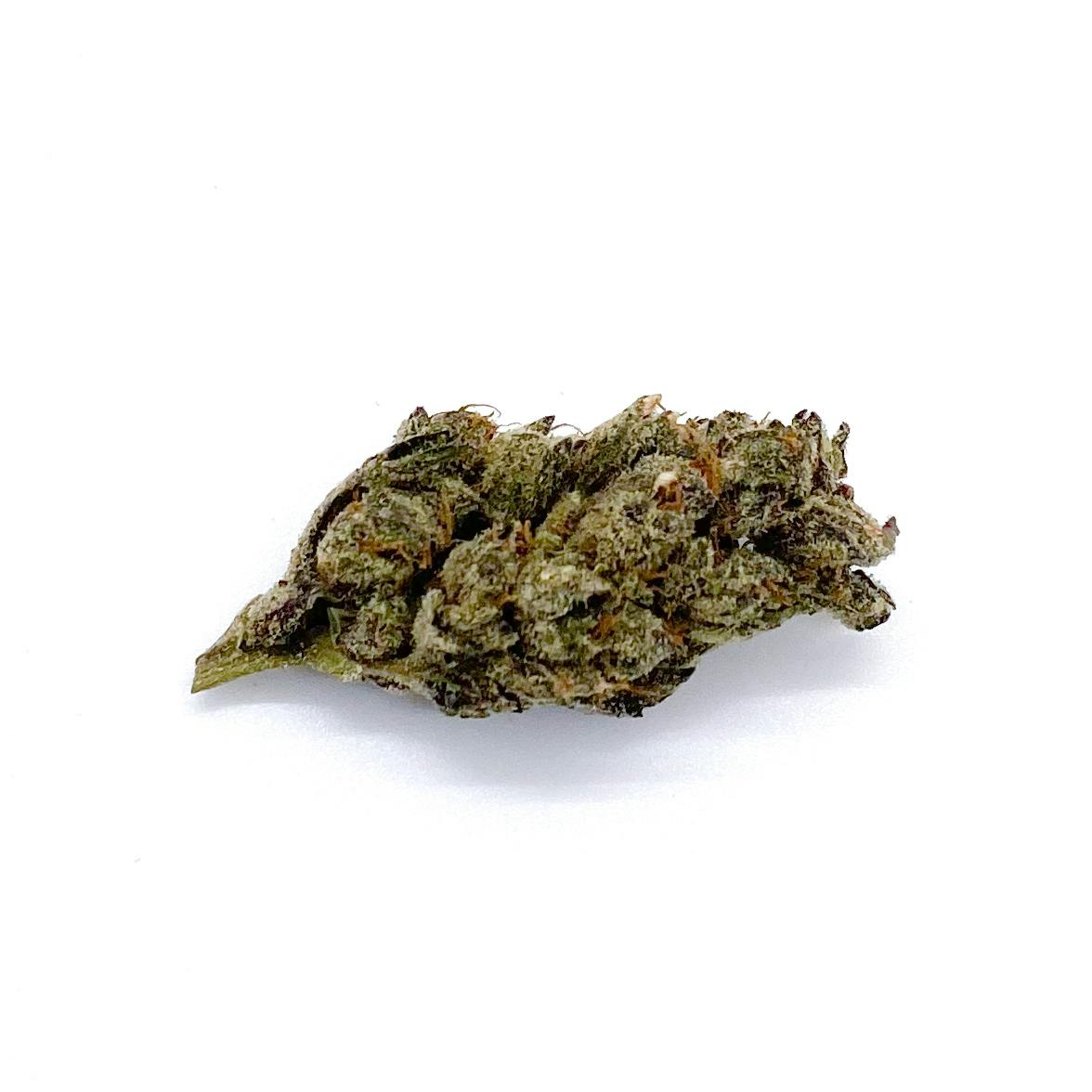 3.5g Pouch- Gary Payton - image 1