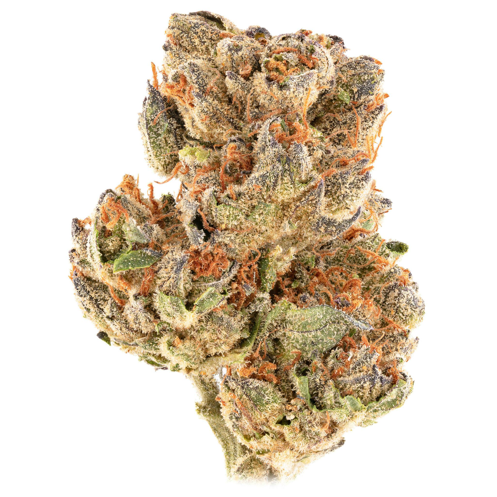 Tropical Zkittlez - image 1