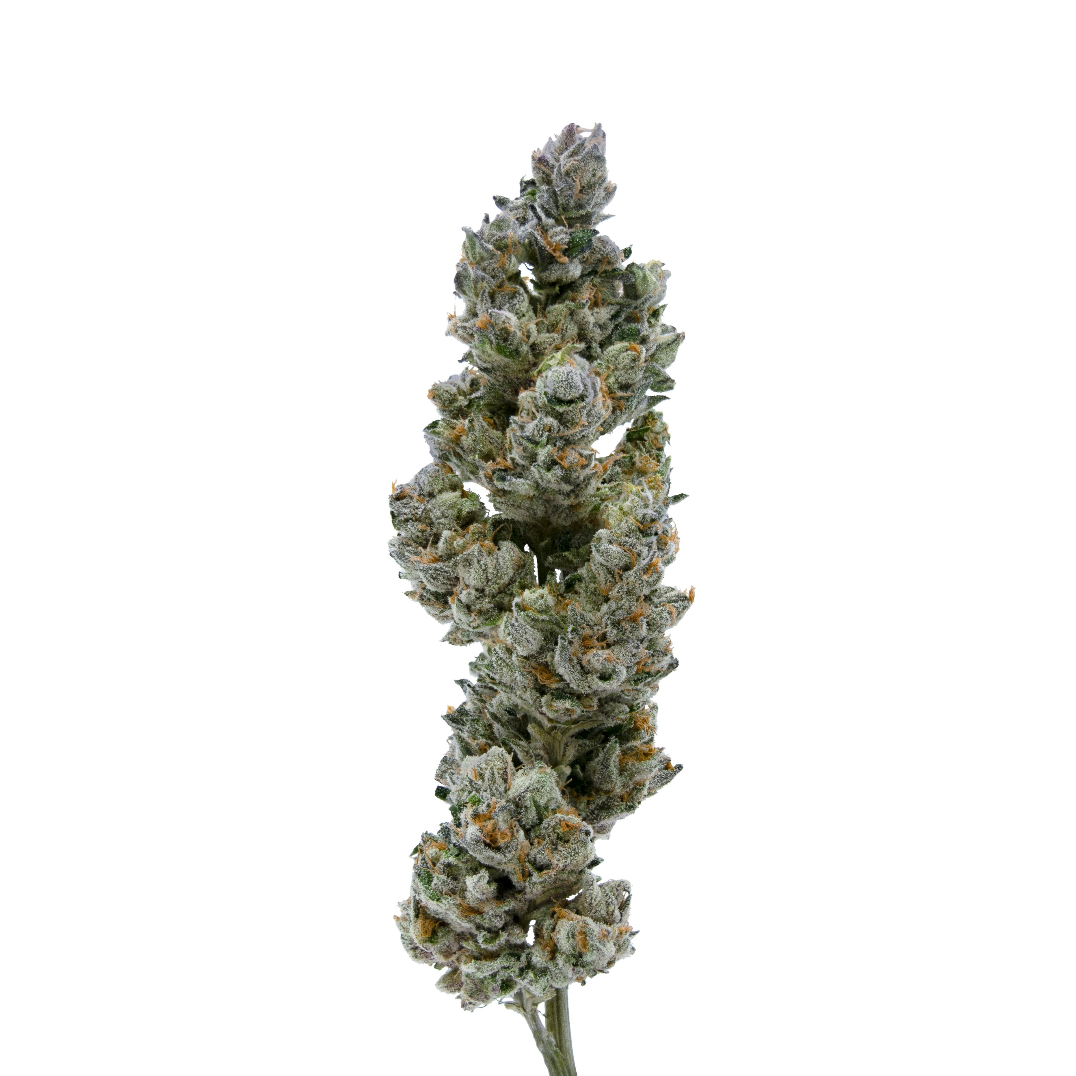 Cosmic Crisp - image 1