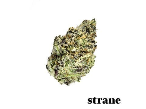 Animal Cookies | 7g - image 2