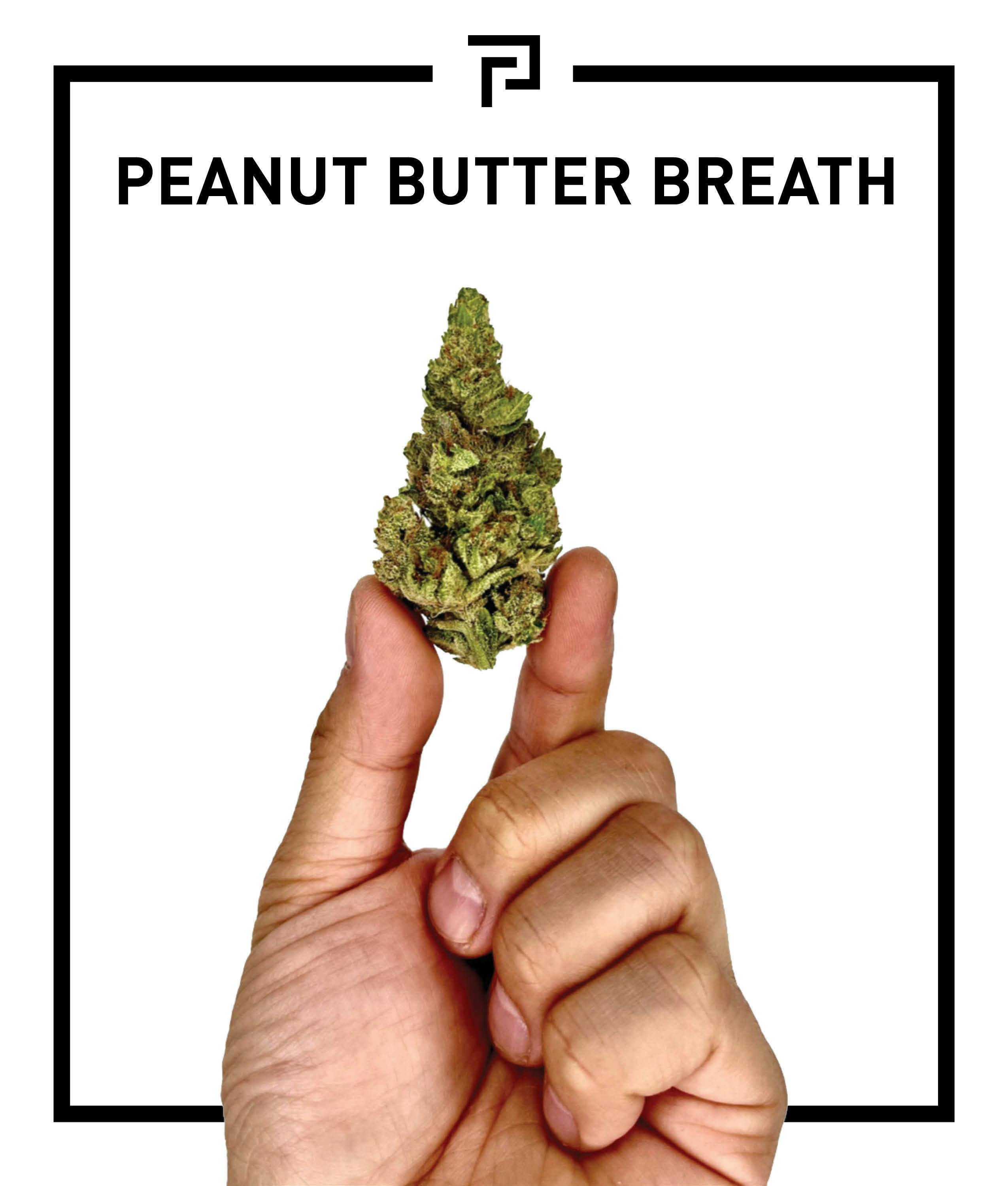 Peanut Butter Breath | 3.5g Flower - image 1