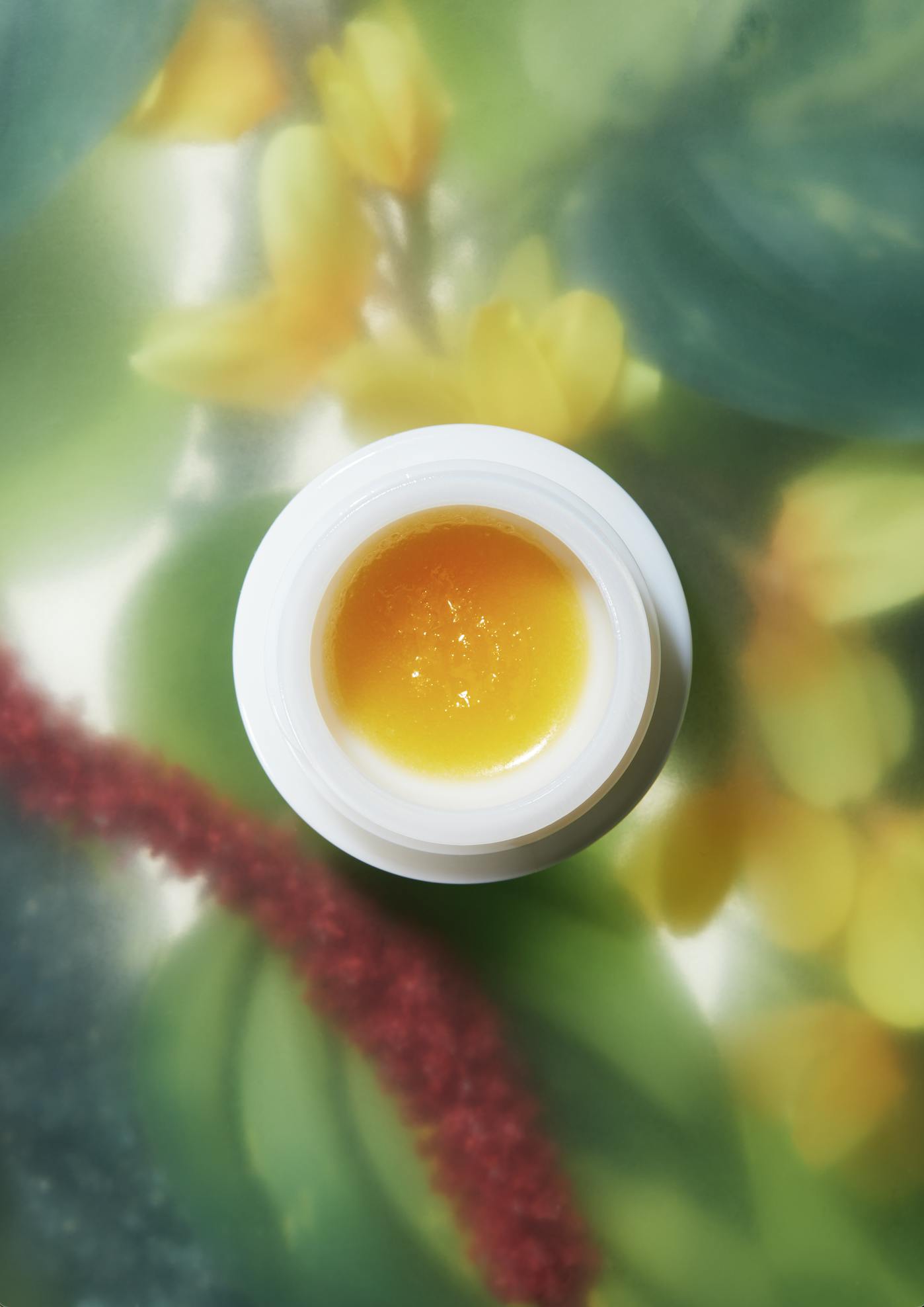 Sano Gardens | Aqua Live Resin Whip - image 1